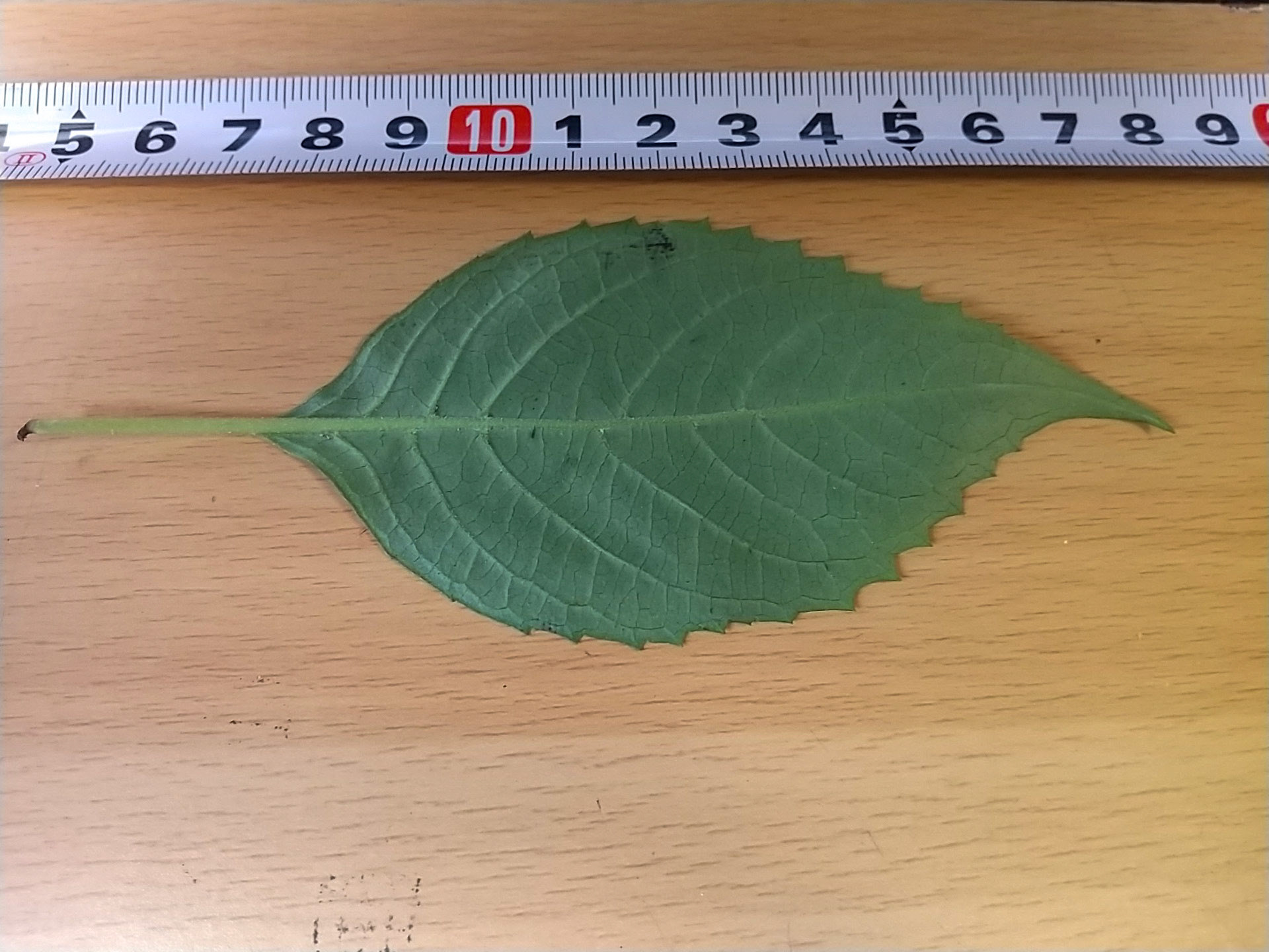 9)