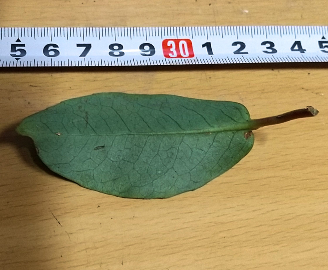 9)