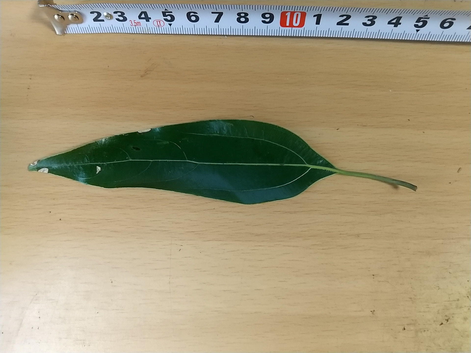 11)