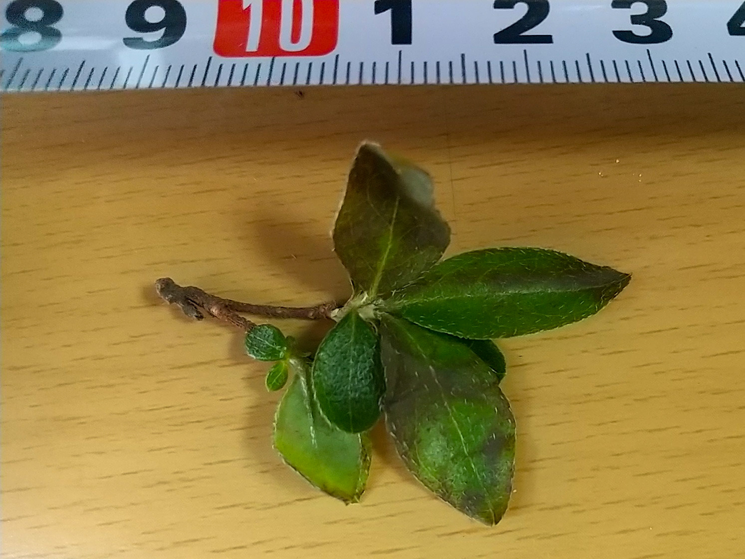 8)