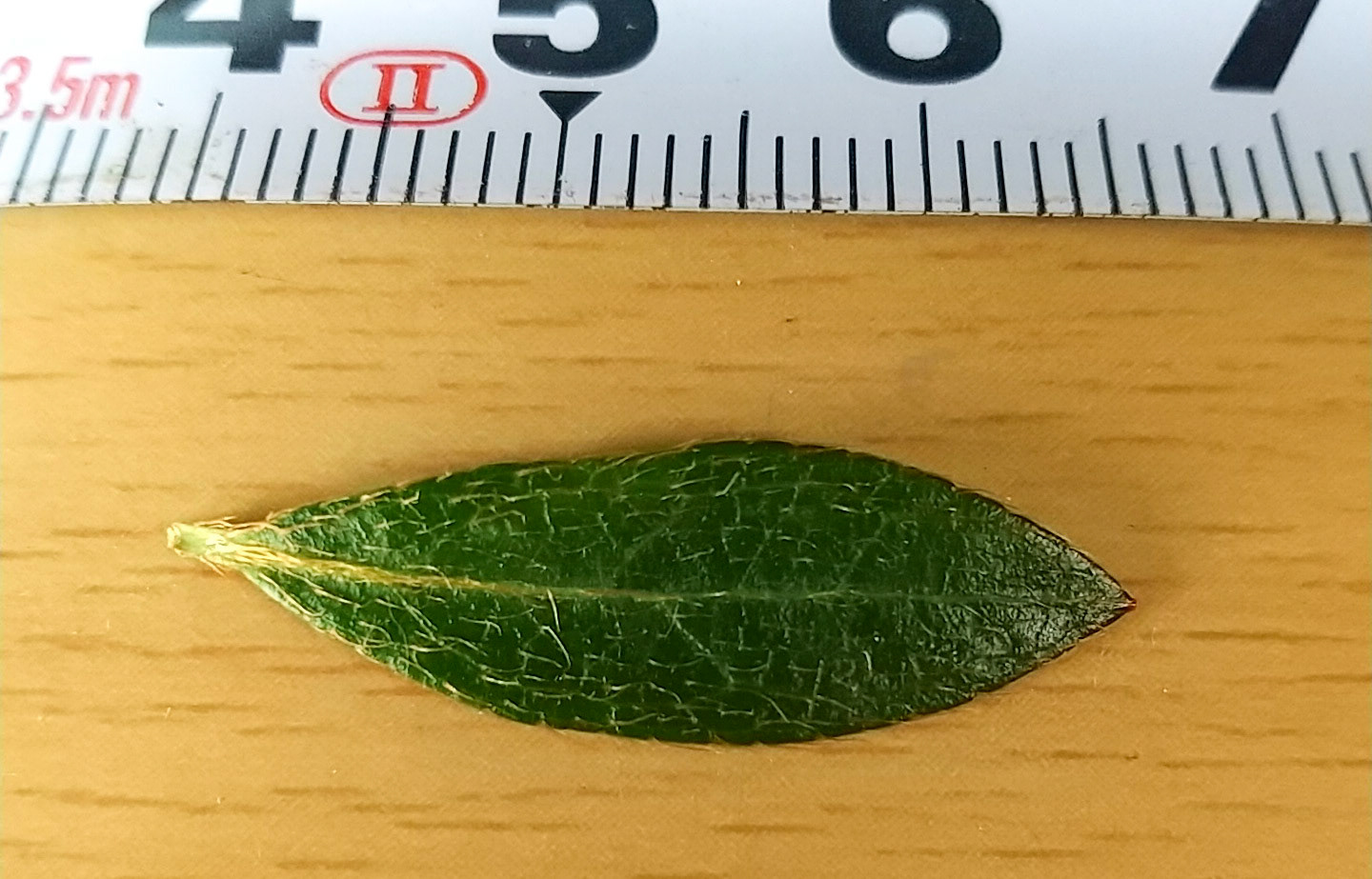 9)