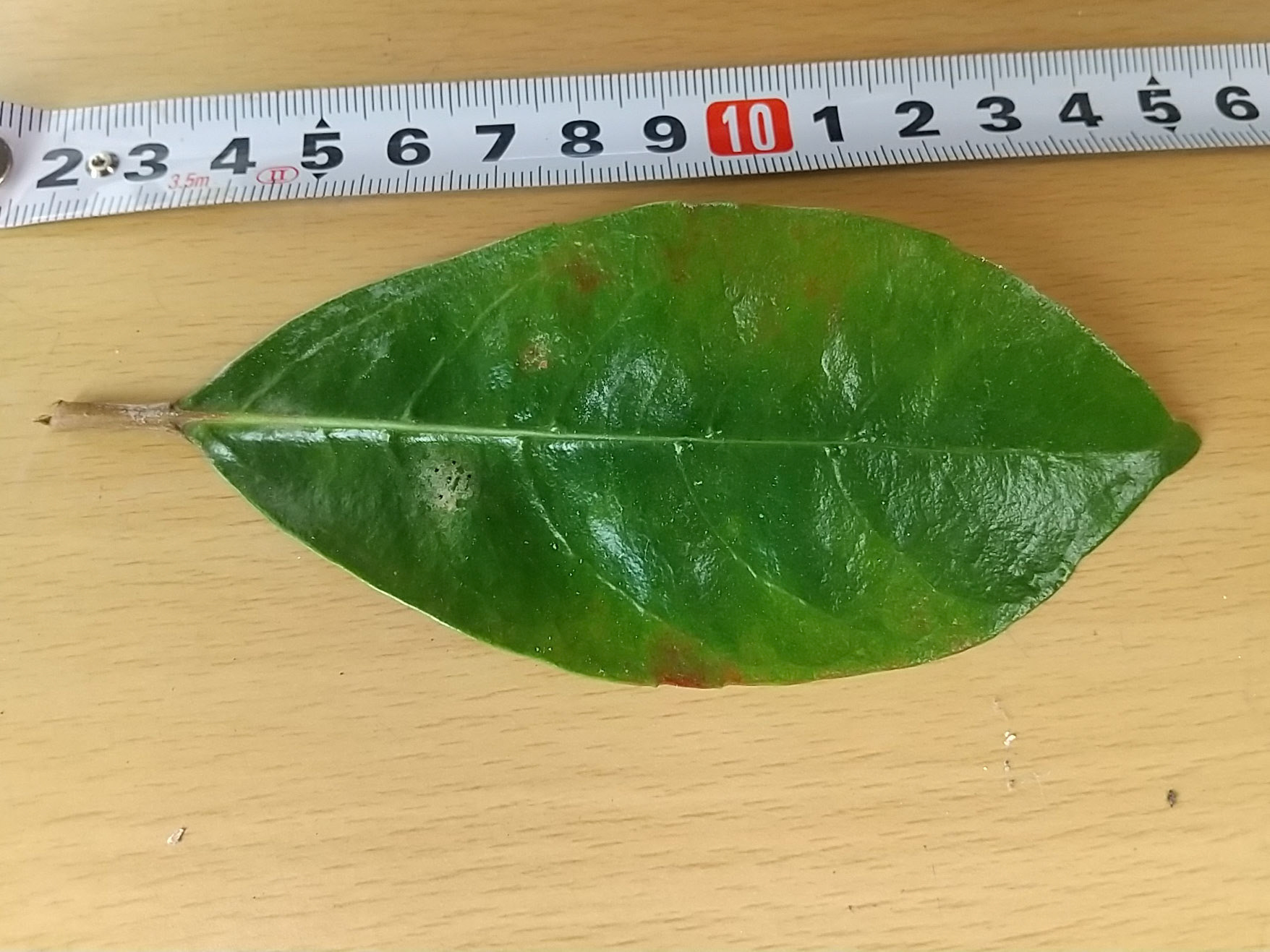 6)