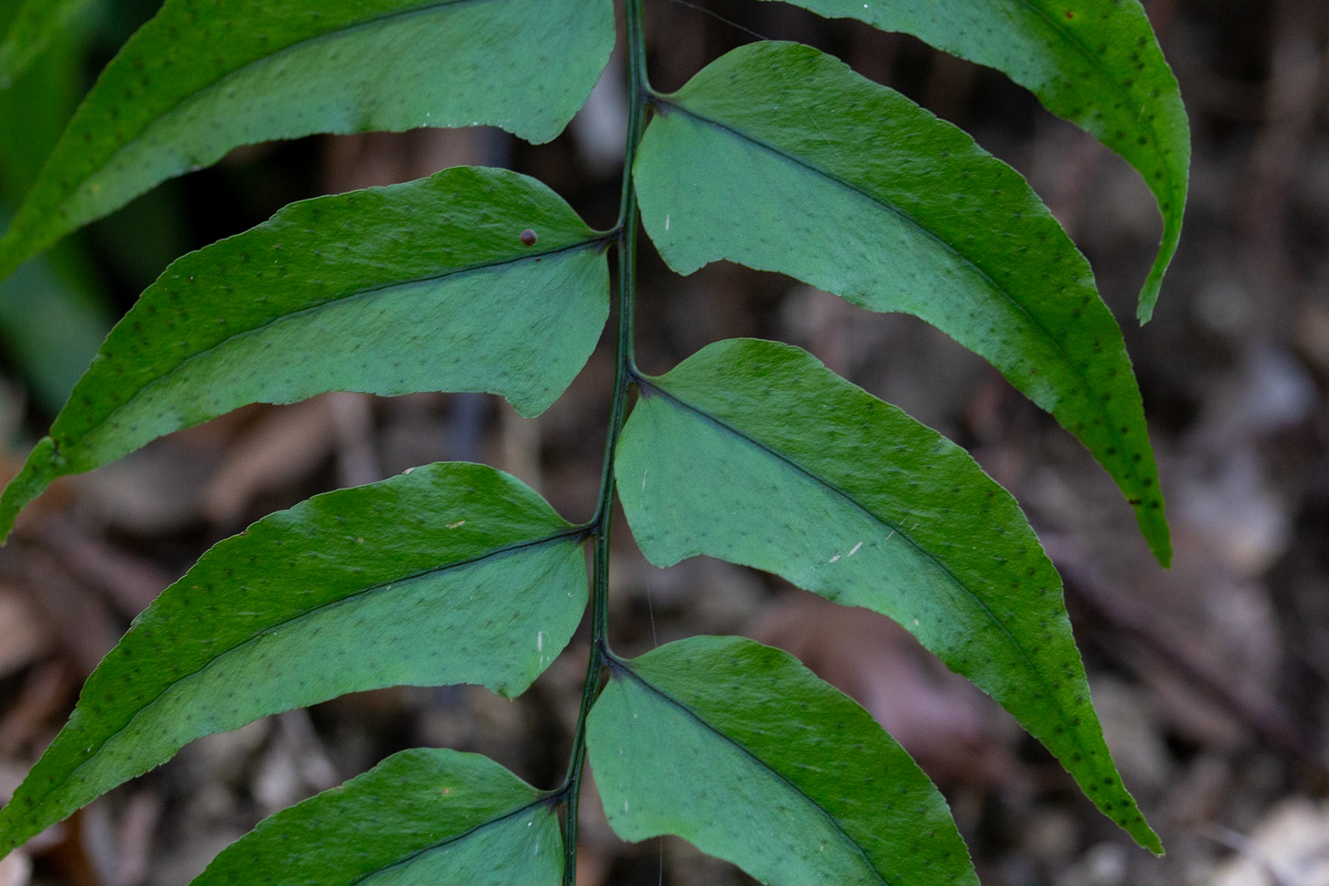 E9