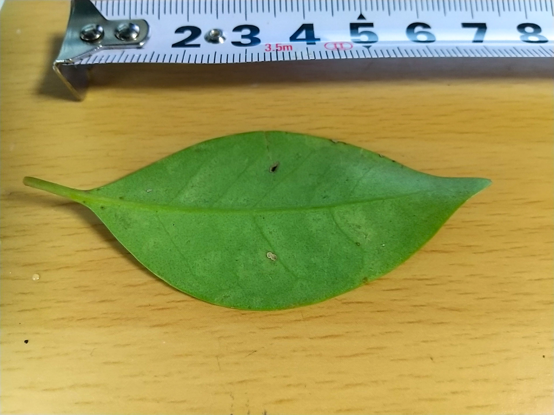 6)