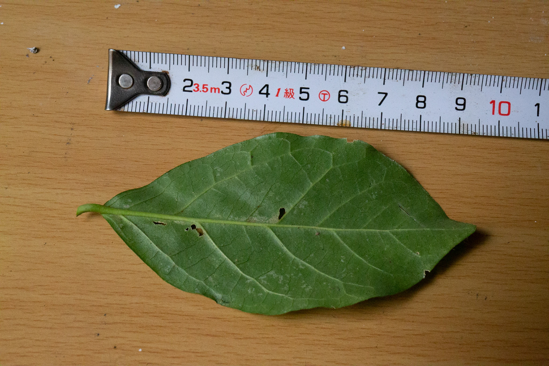 6)
