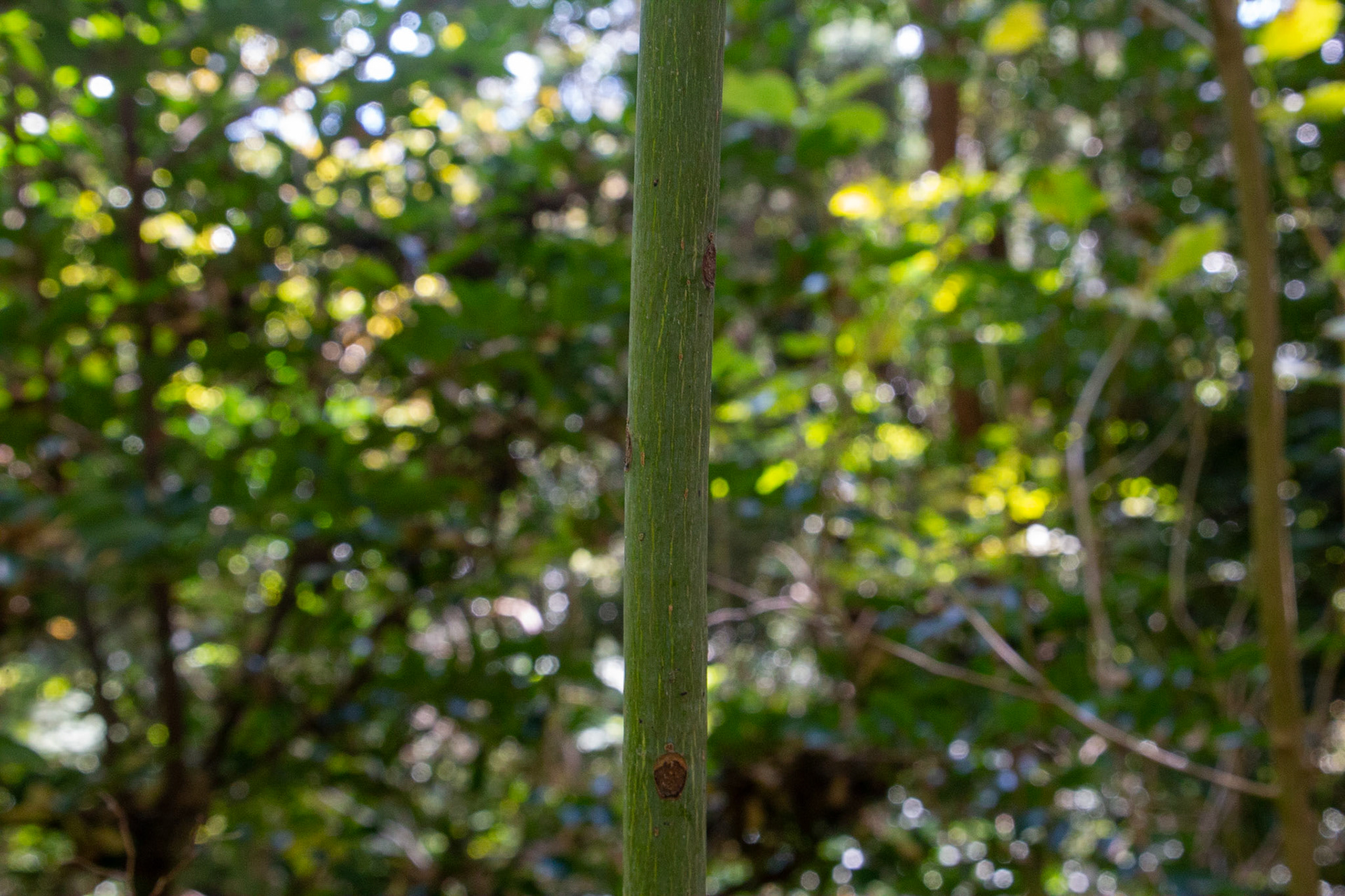 9)