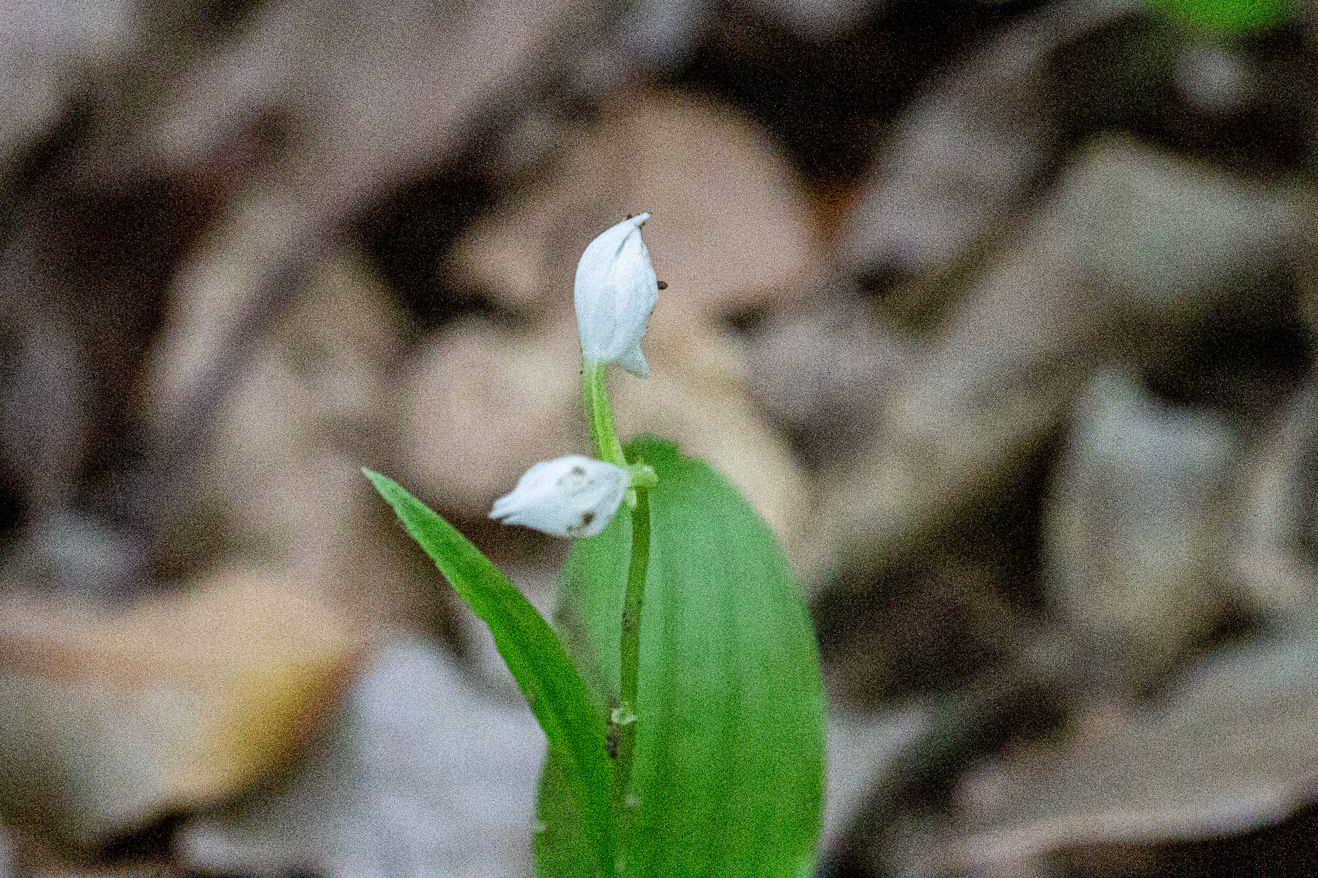 7)
