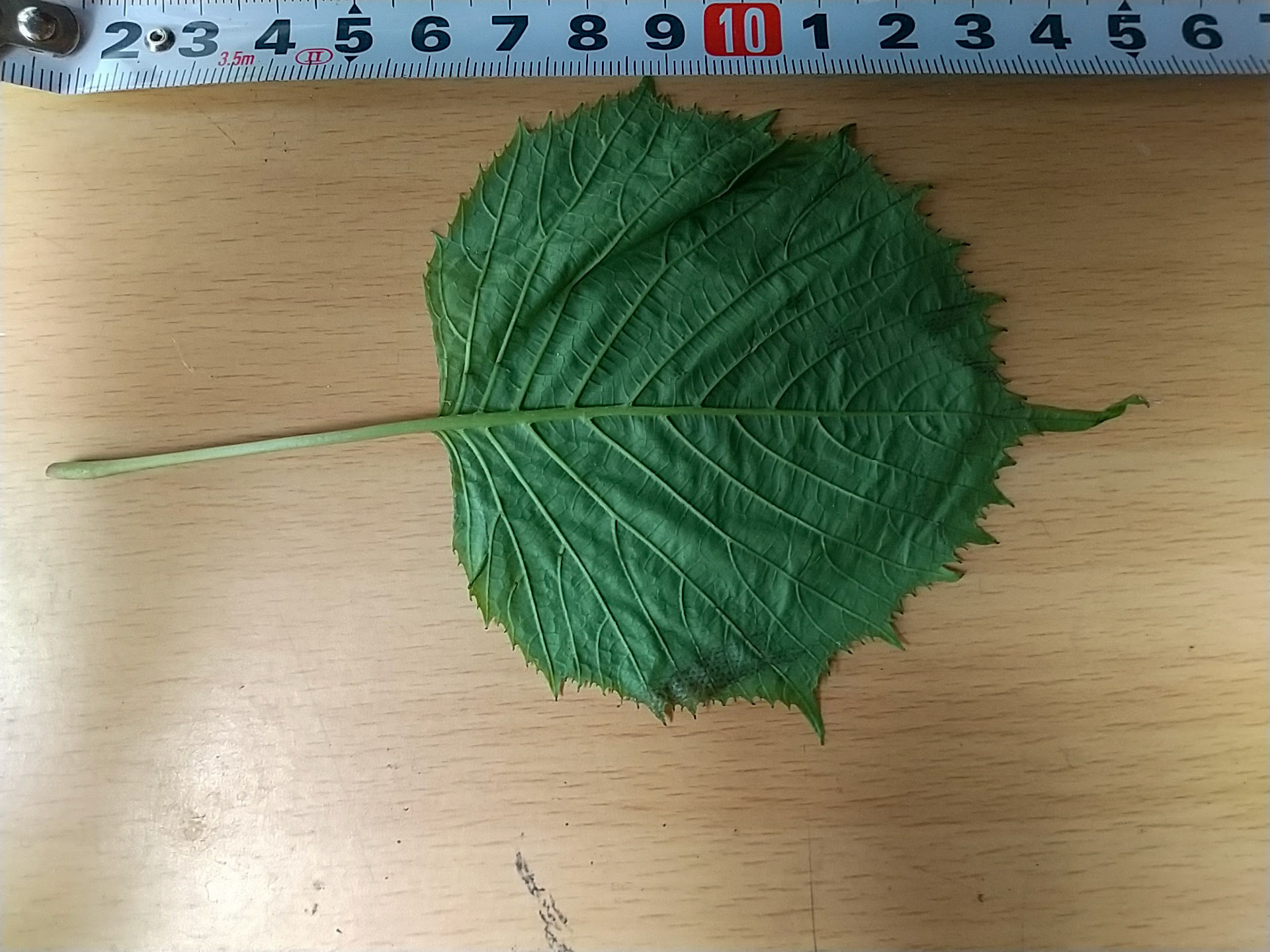 6)