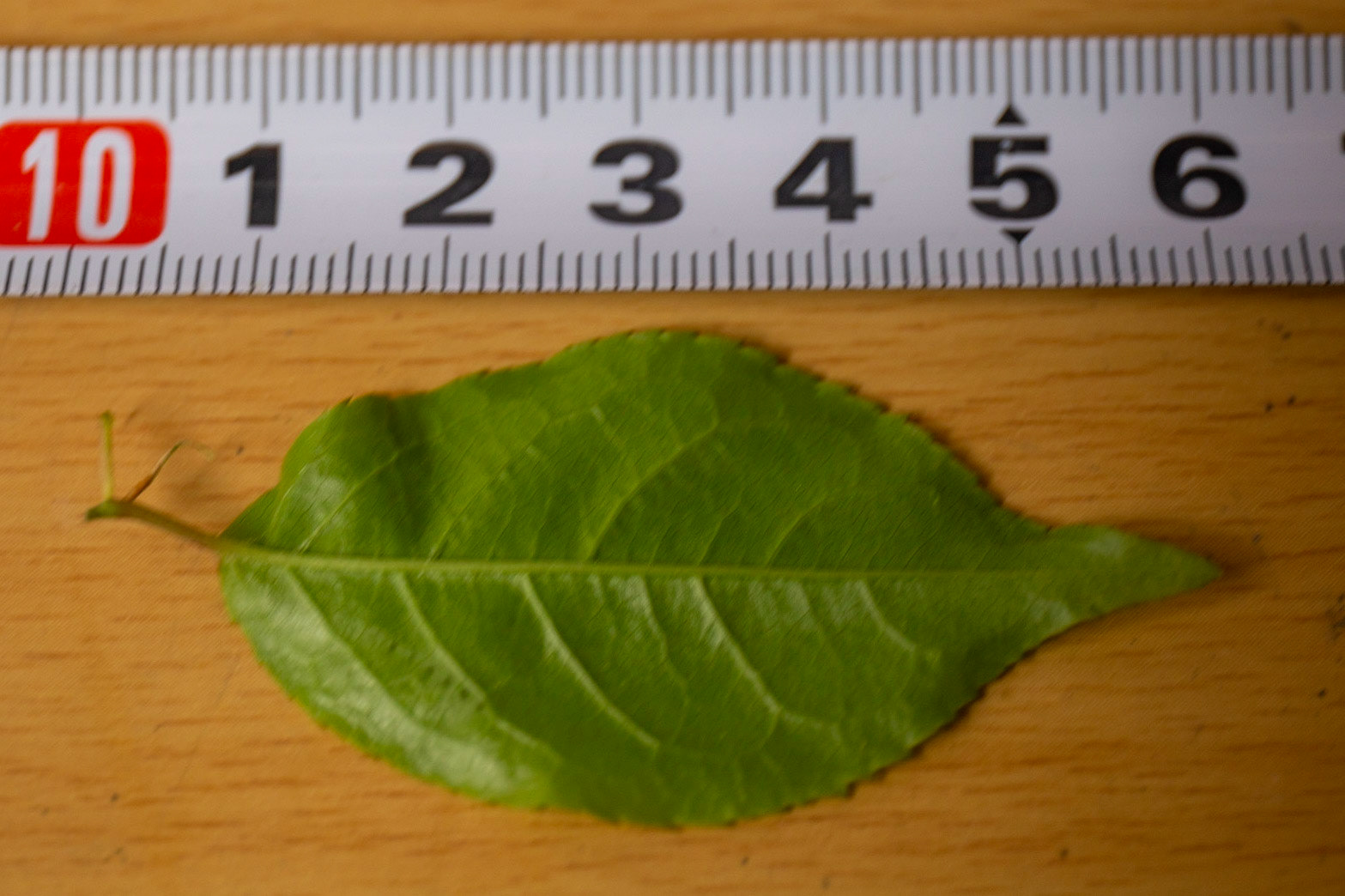 5)