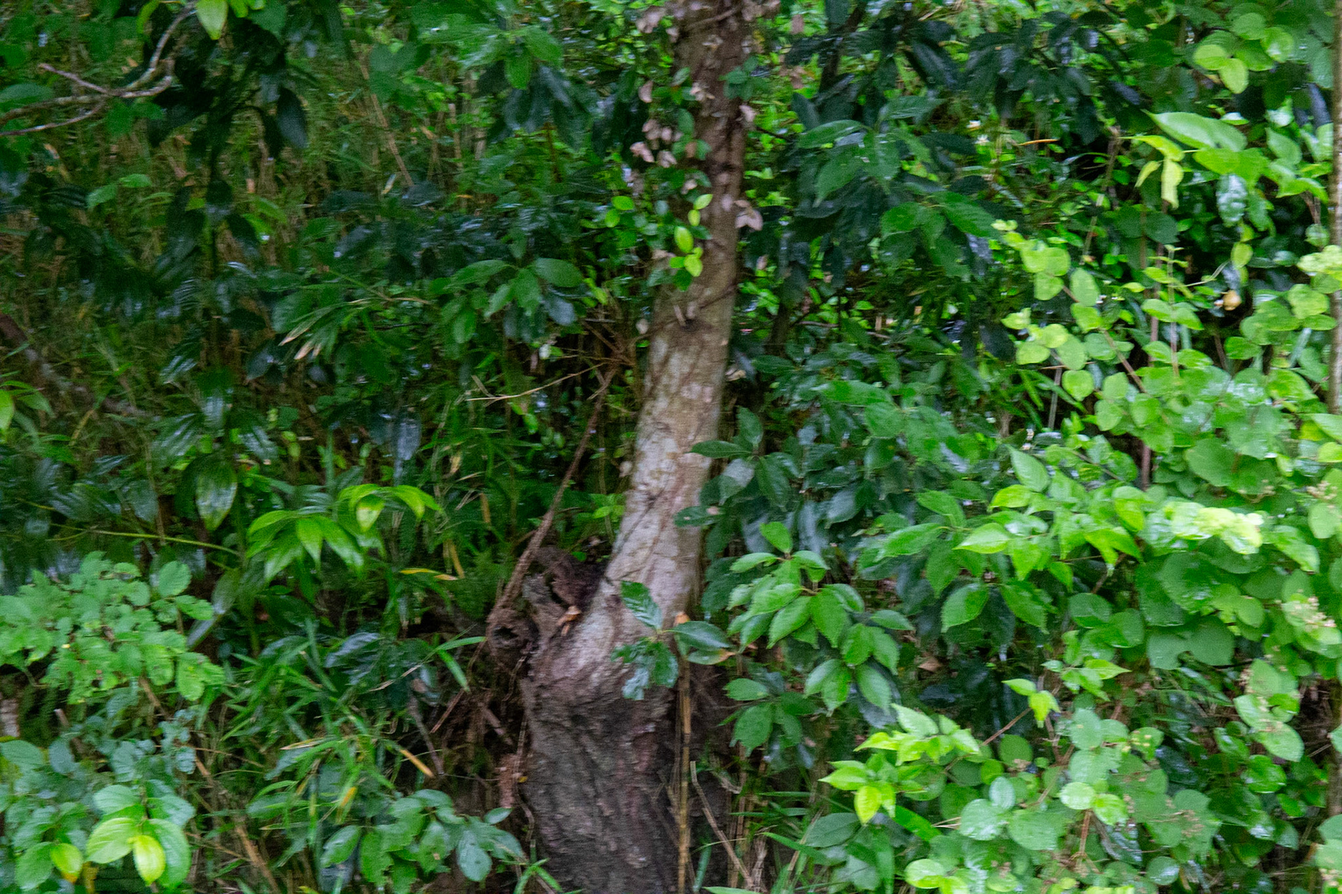 11)