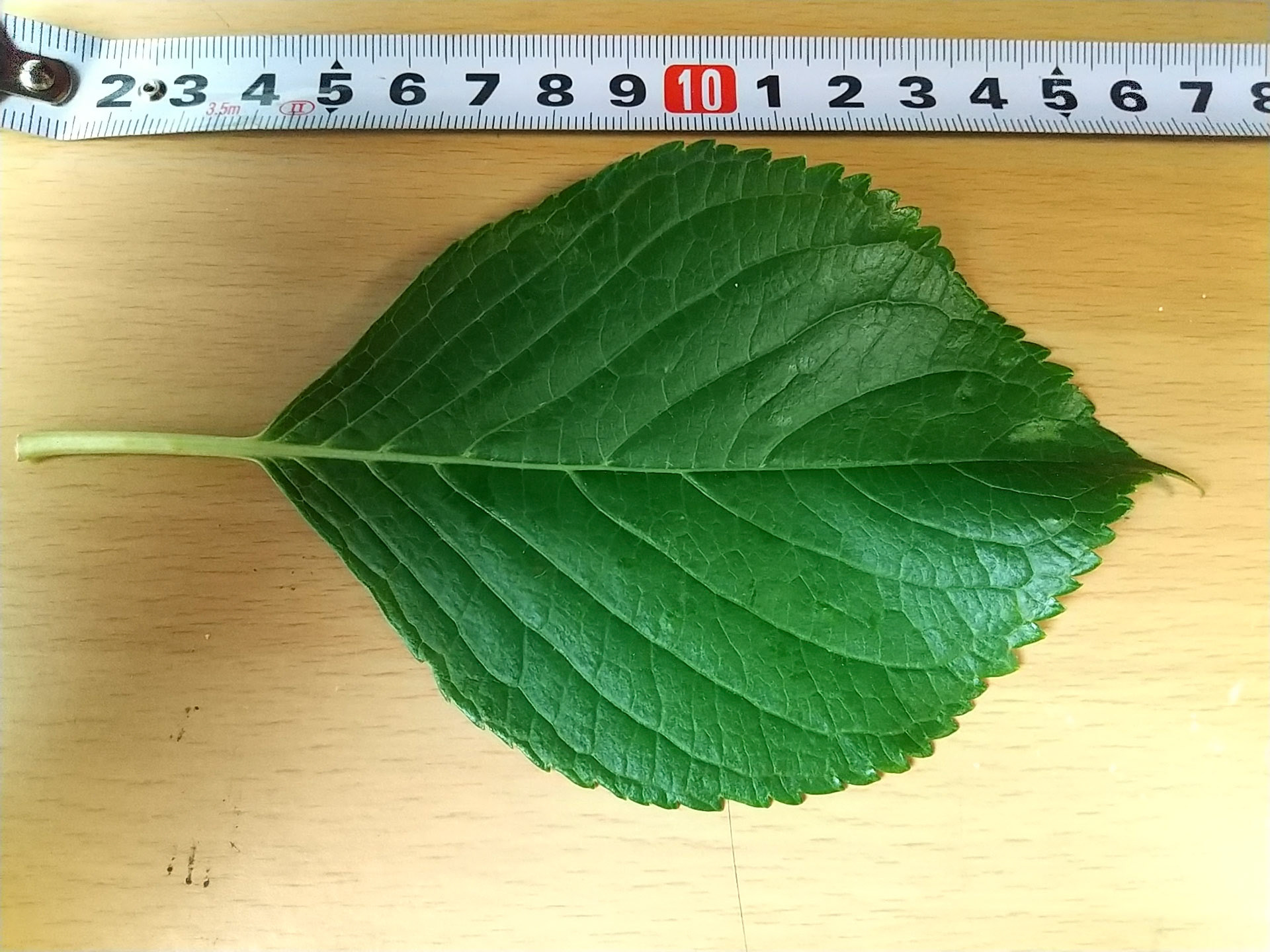 8)