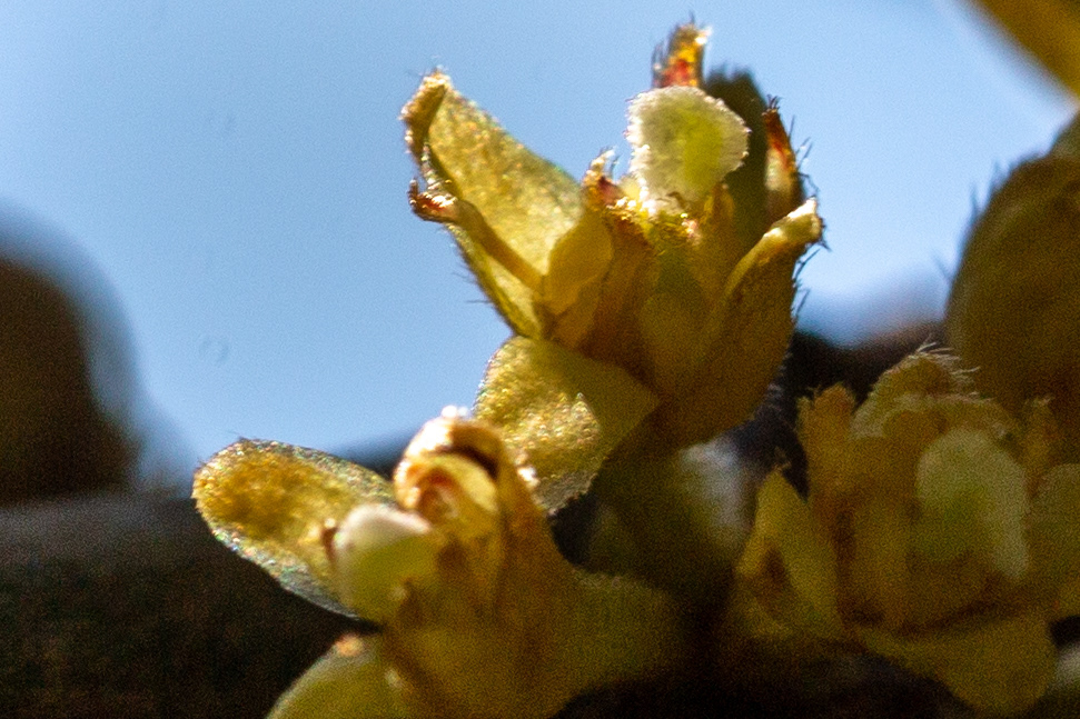37)