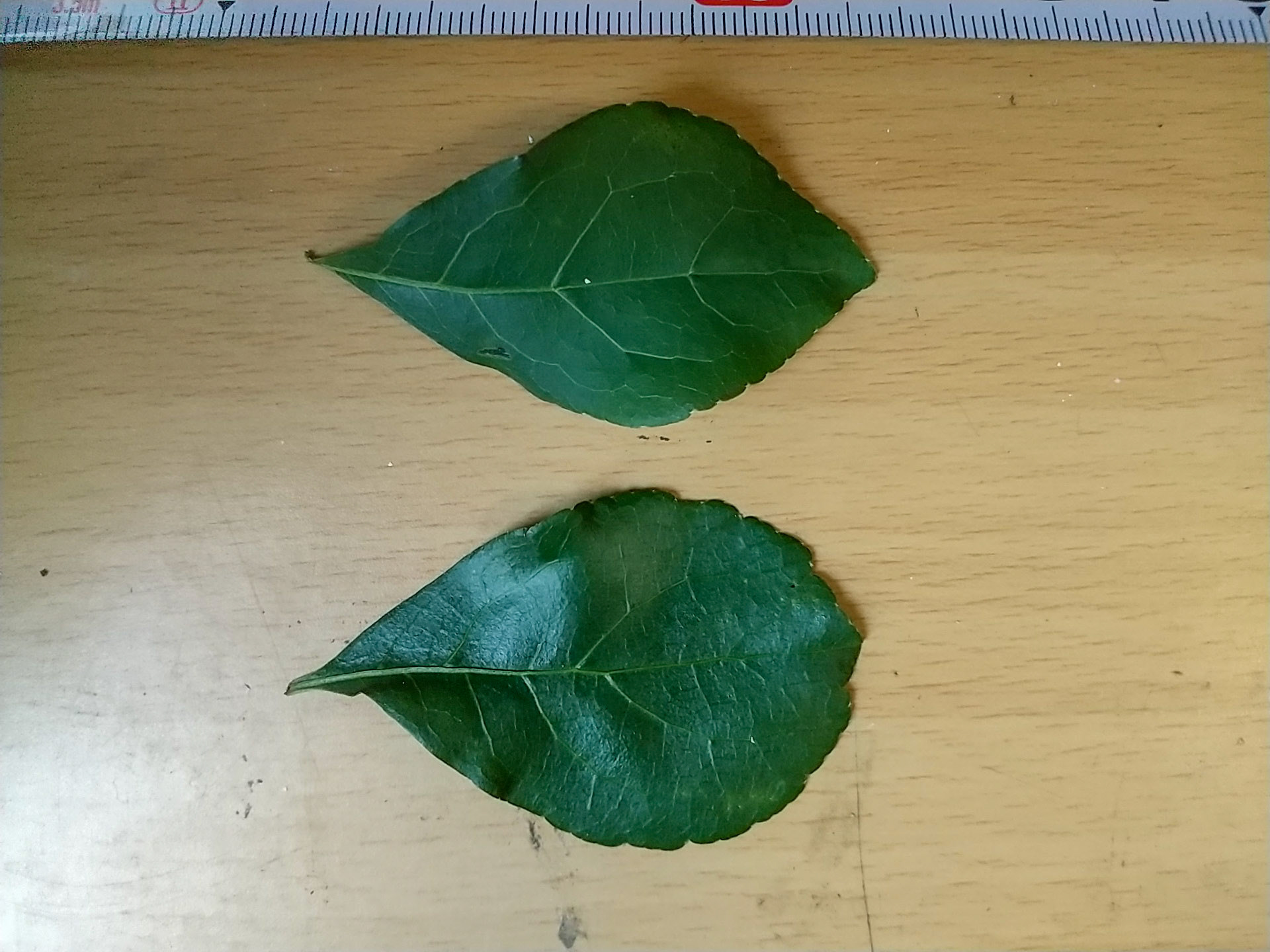 9)