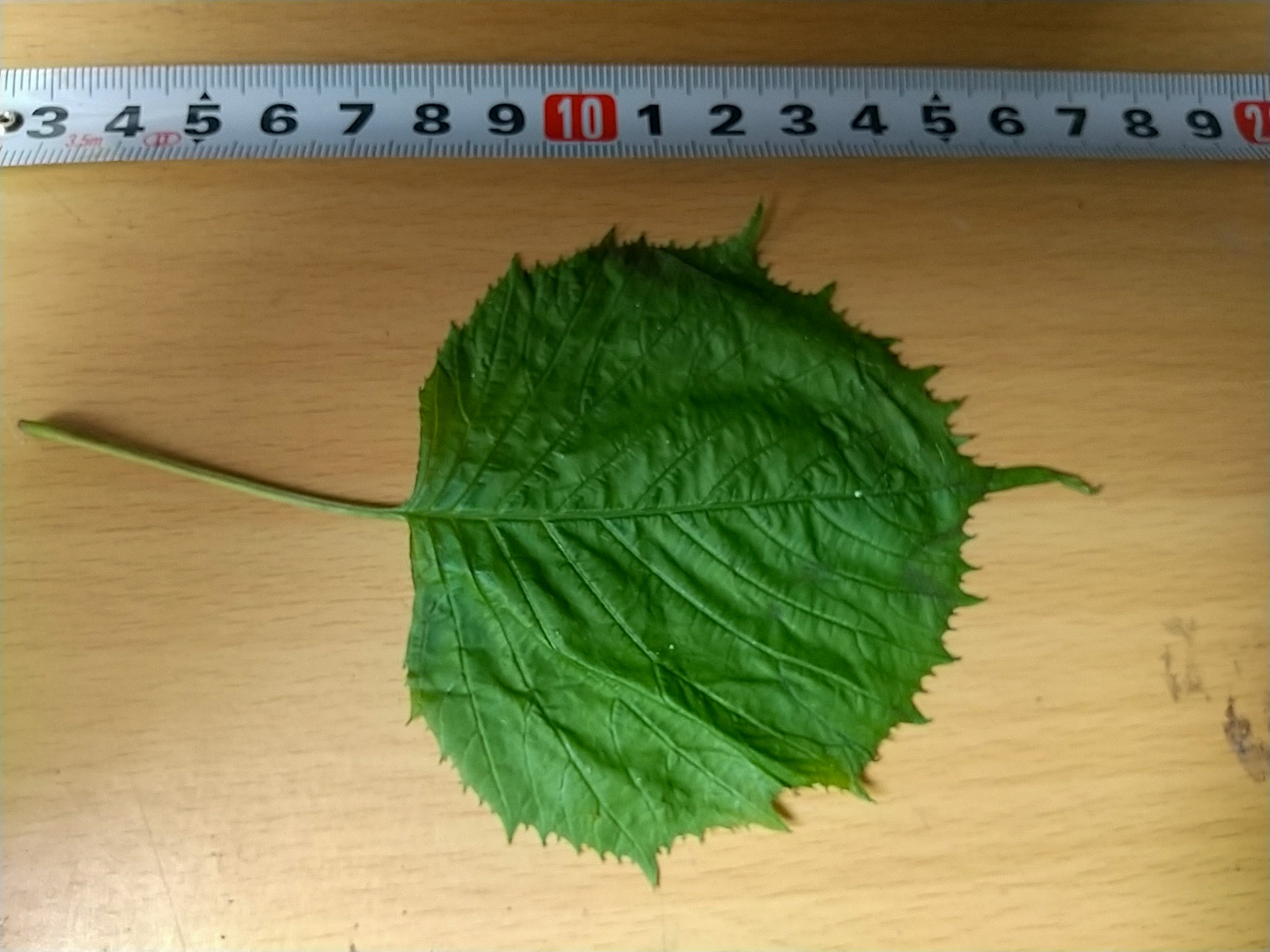 5)