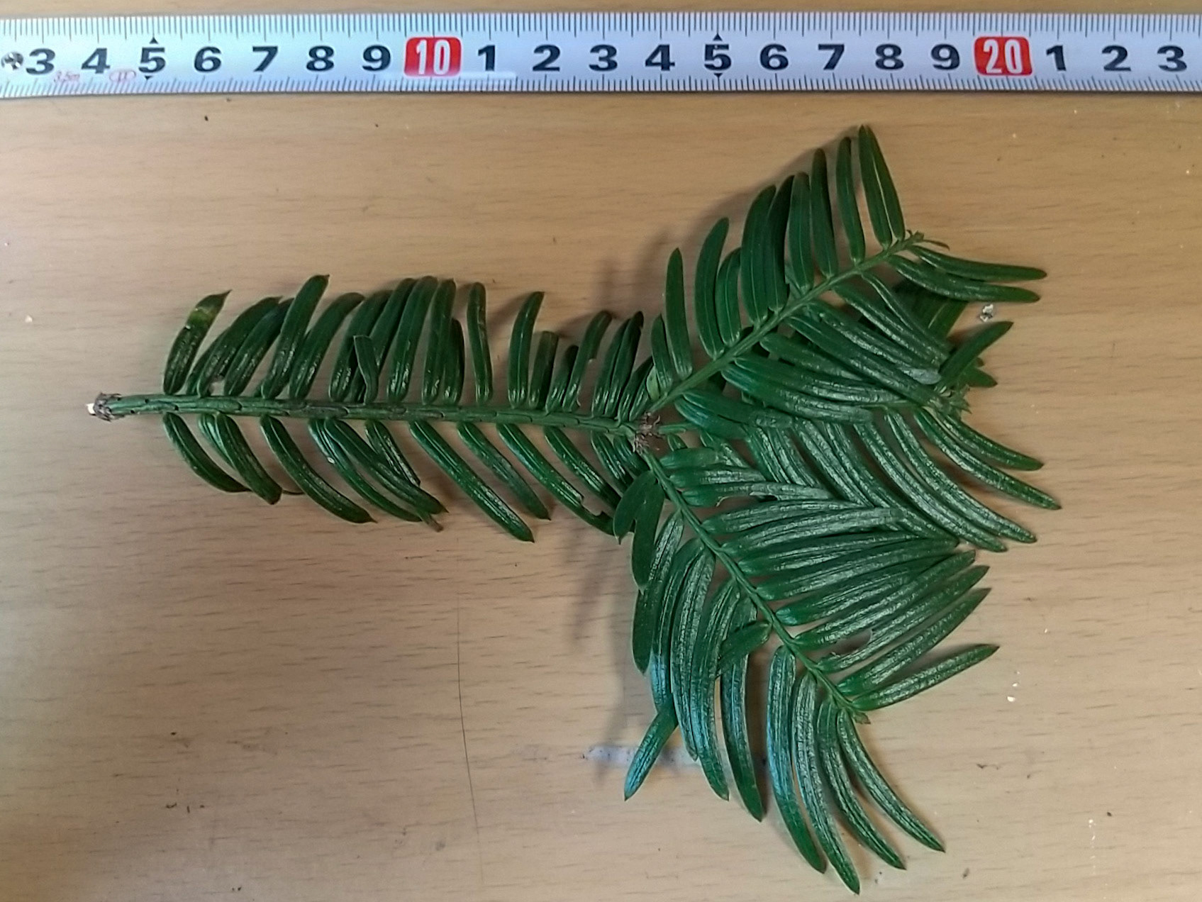 6)