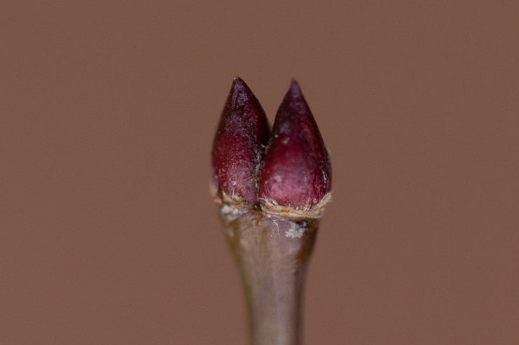 24)