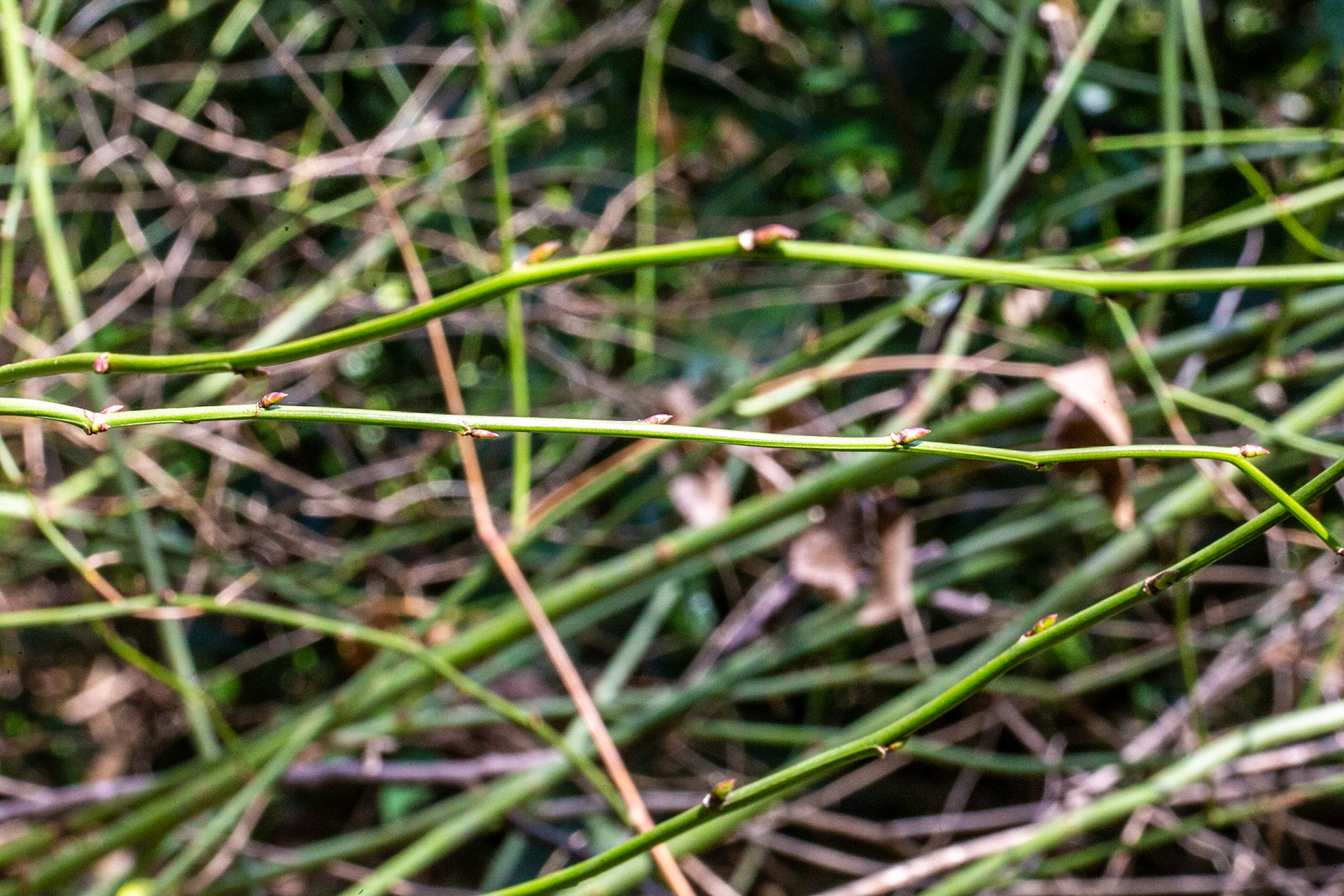 23)