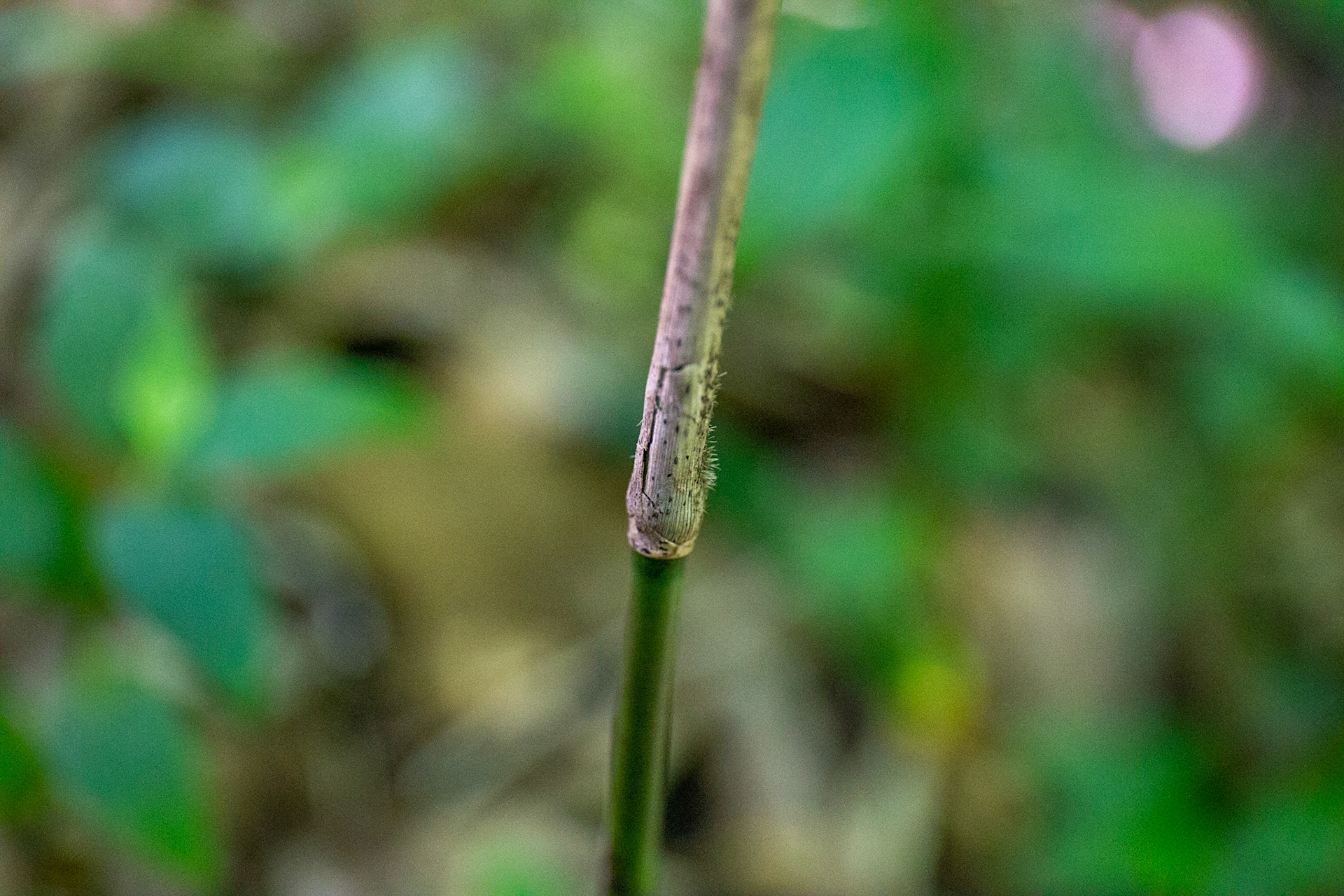 7)