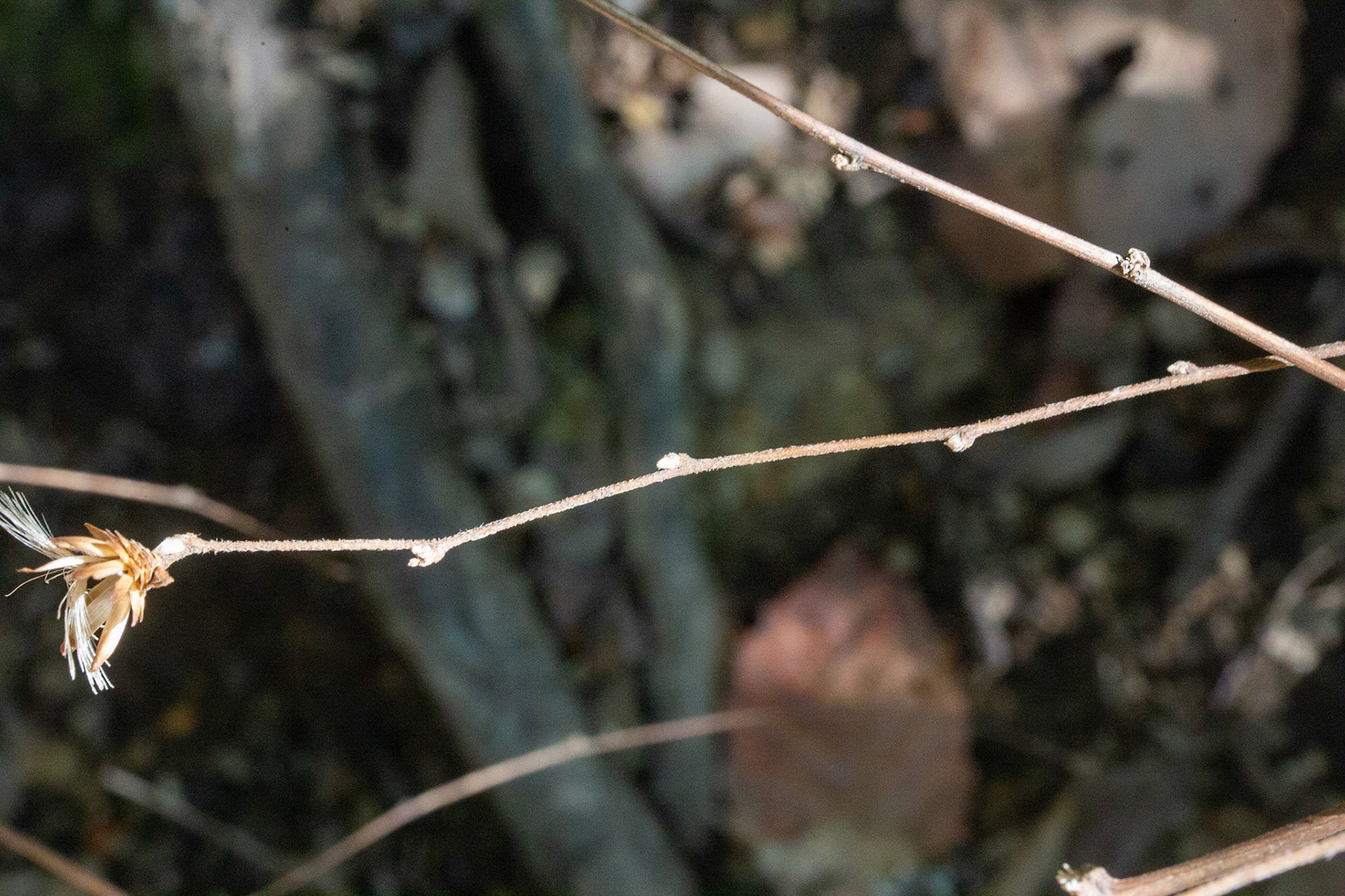 21)