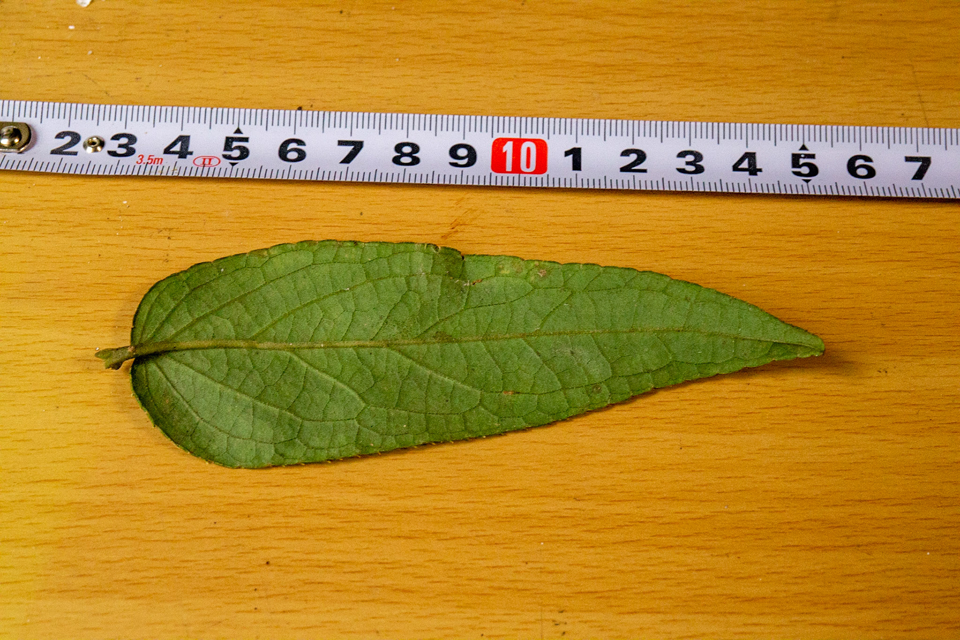 7)