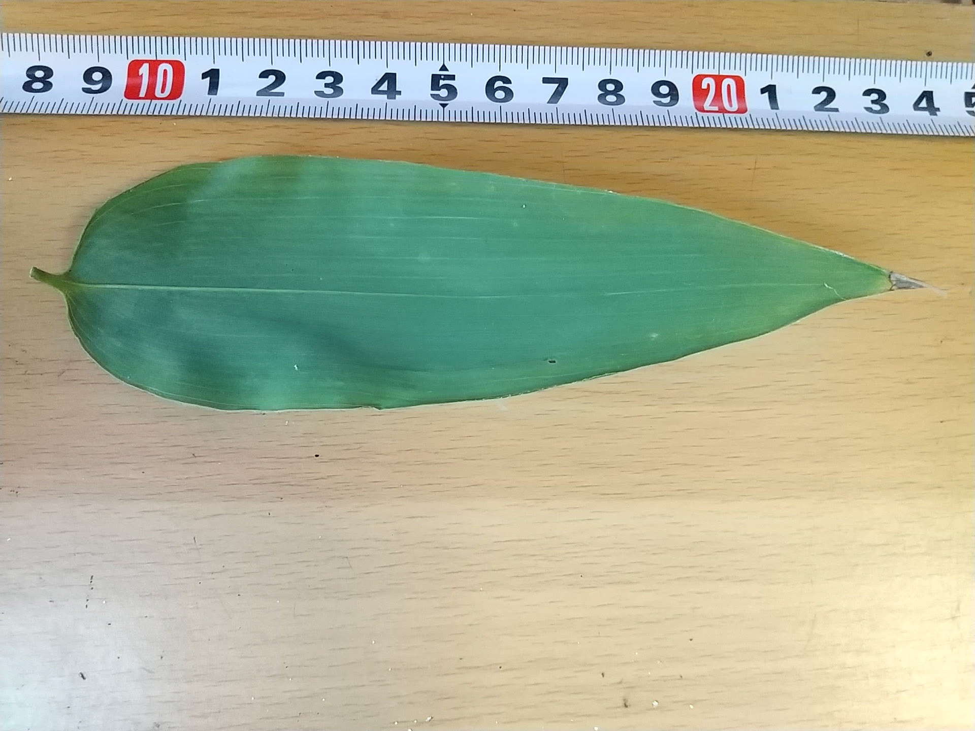 16)