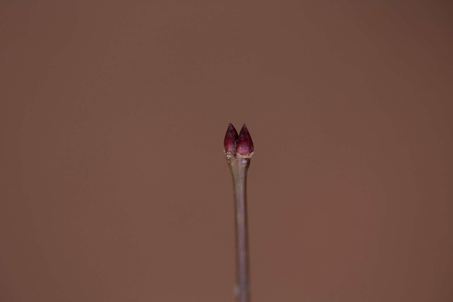 23)