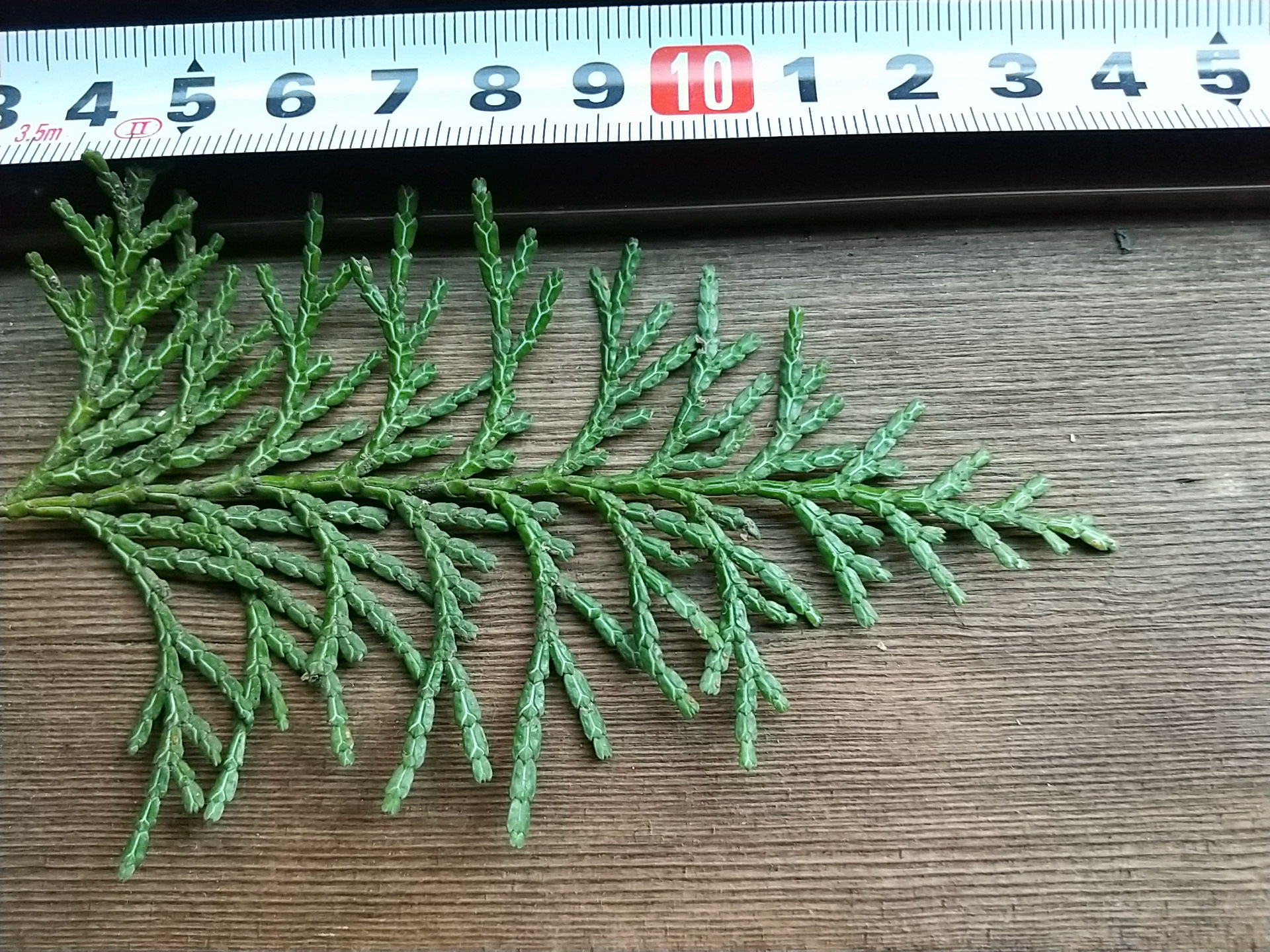 7)
