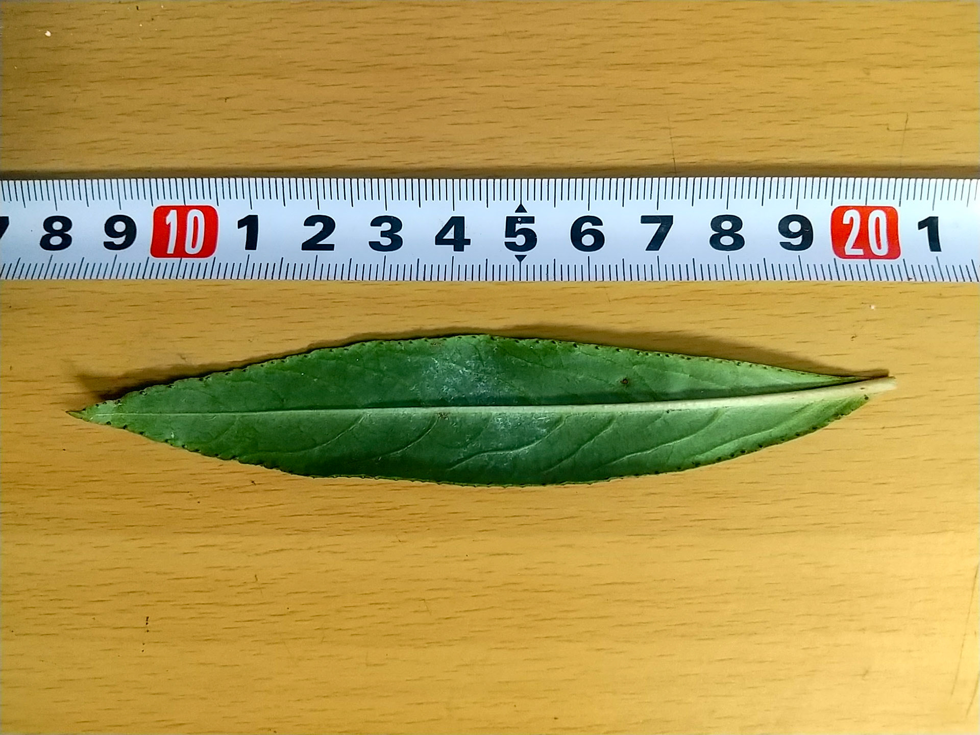 8)