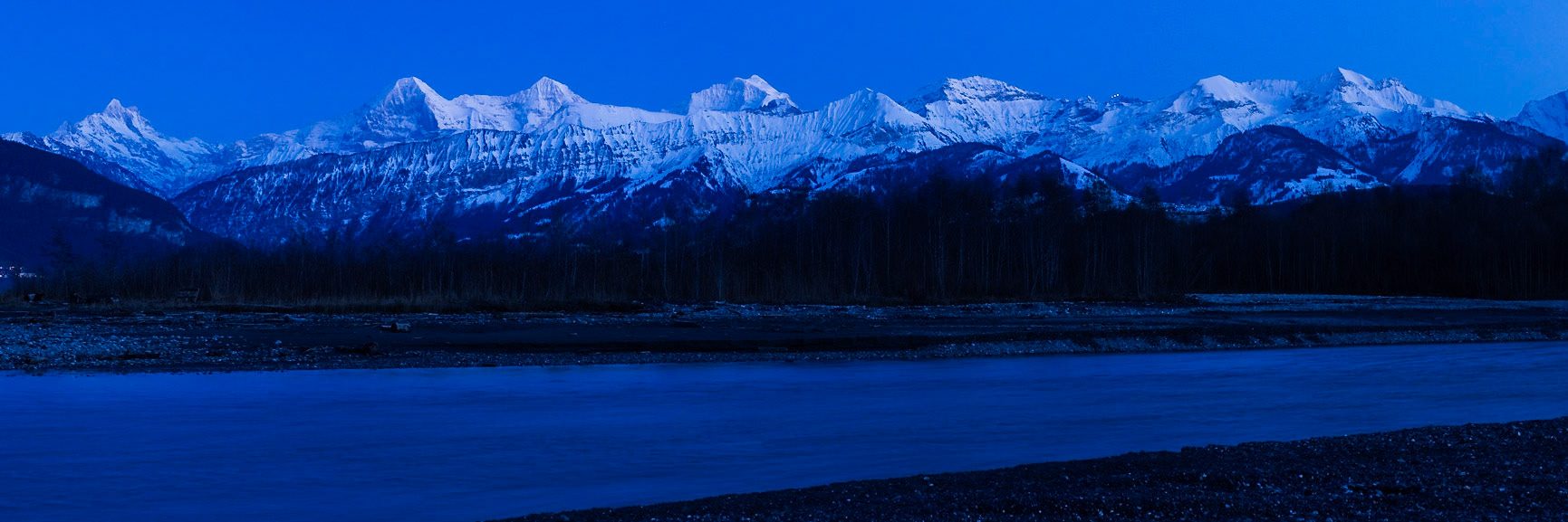 Berner Riesen zur blauen Stunde