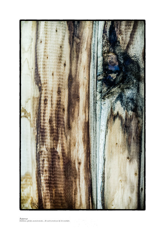 Retorno - Serie "Caras & Caretas"