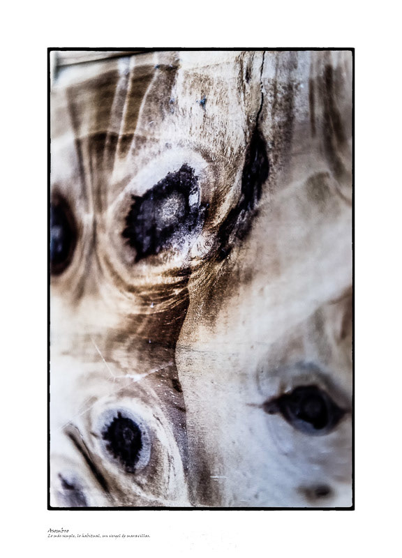 Asombro - Serie "Caras & Caretas"