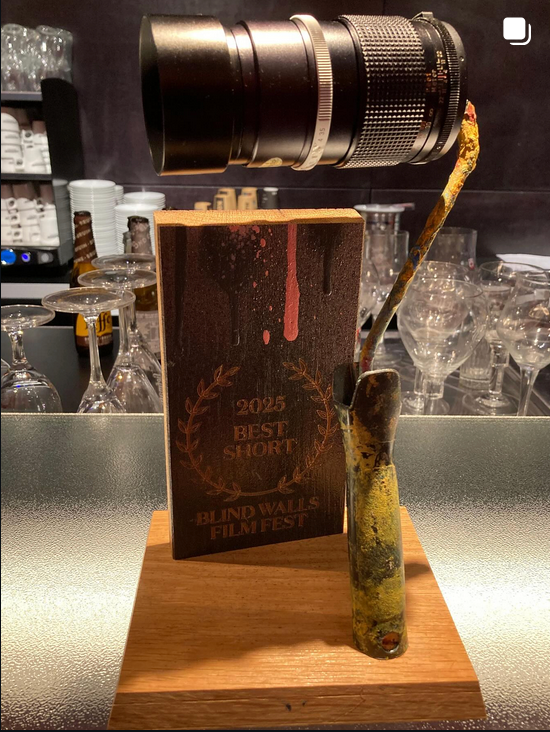 The coolest award trophy we have ever seen. Thank you Blind Walls Film Festival.