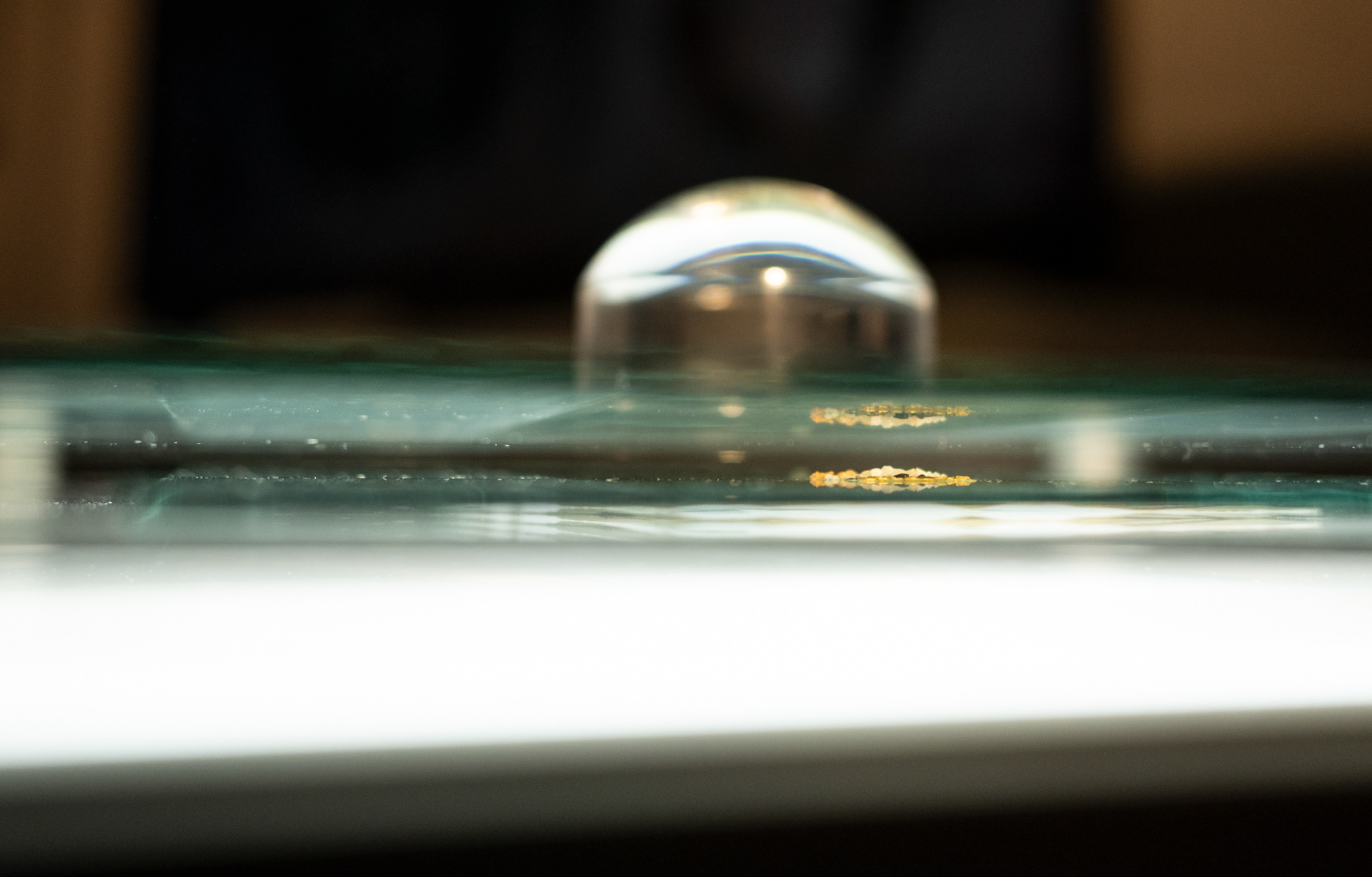 Political Bands (detail)