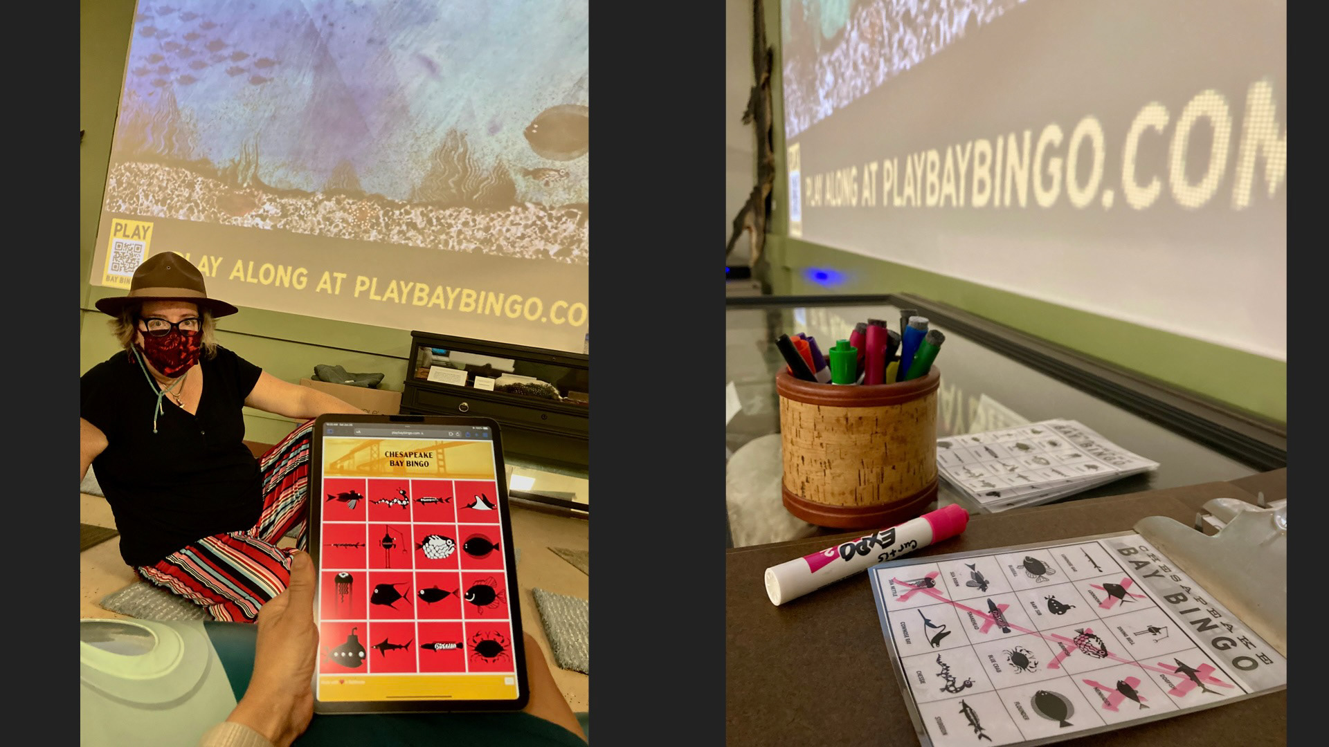 Shark Fest at the Natural Hisotry Society of Maryland