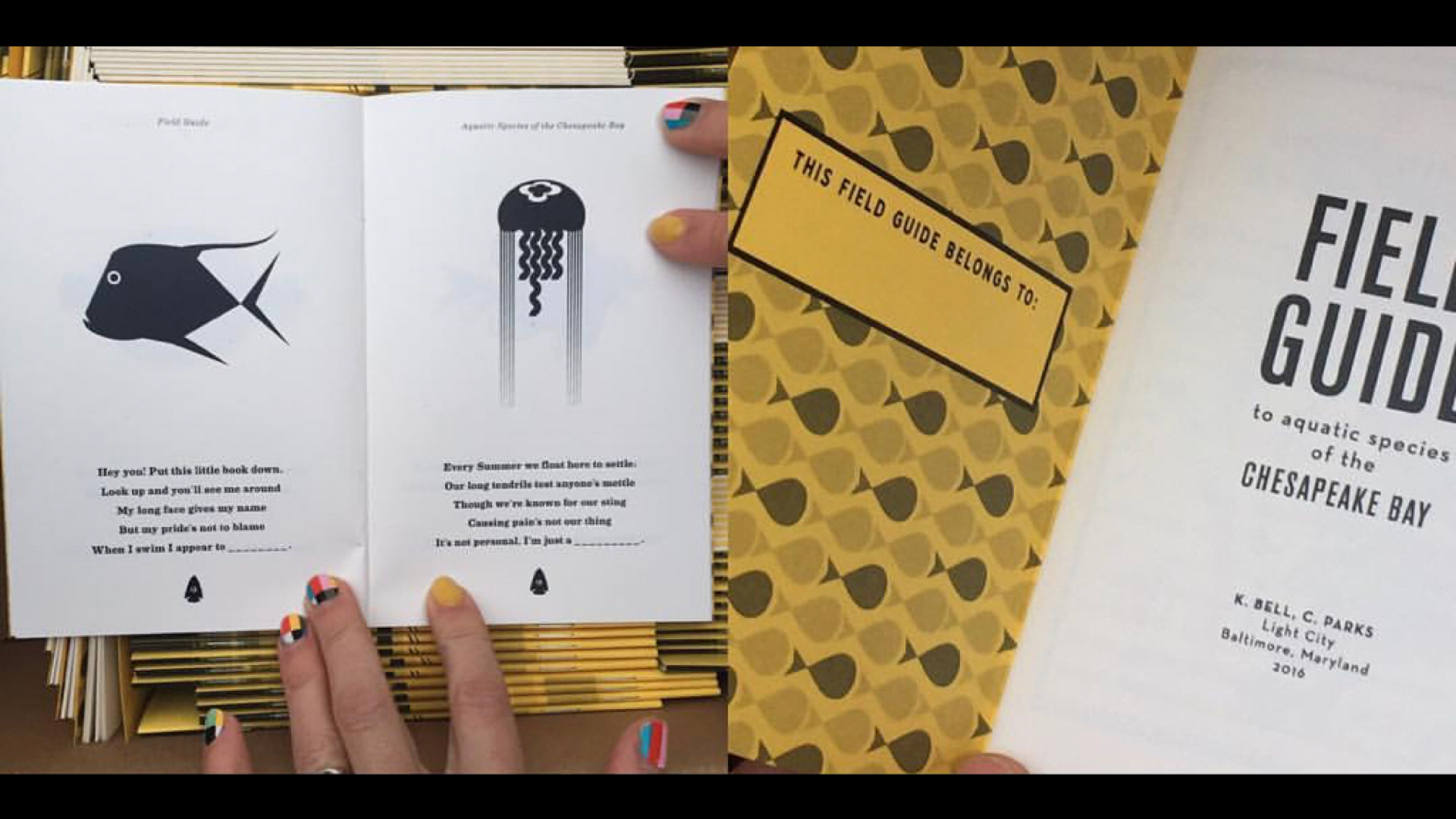 Field Guide with fish limericks