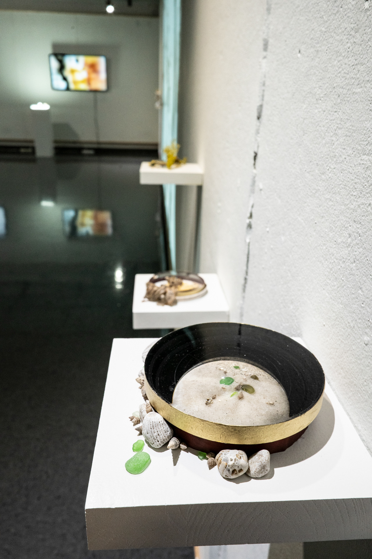 Bioscopes (2026, sand, recycled lenses, found objects)