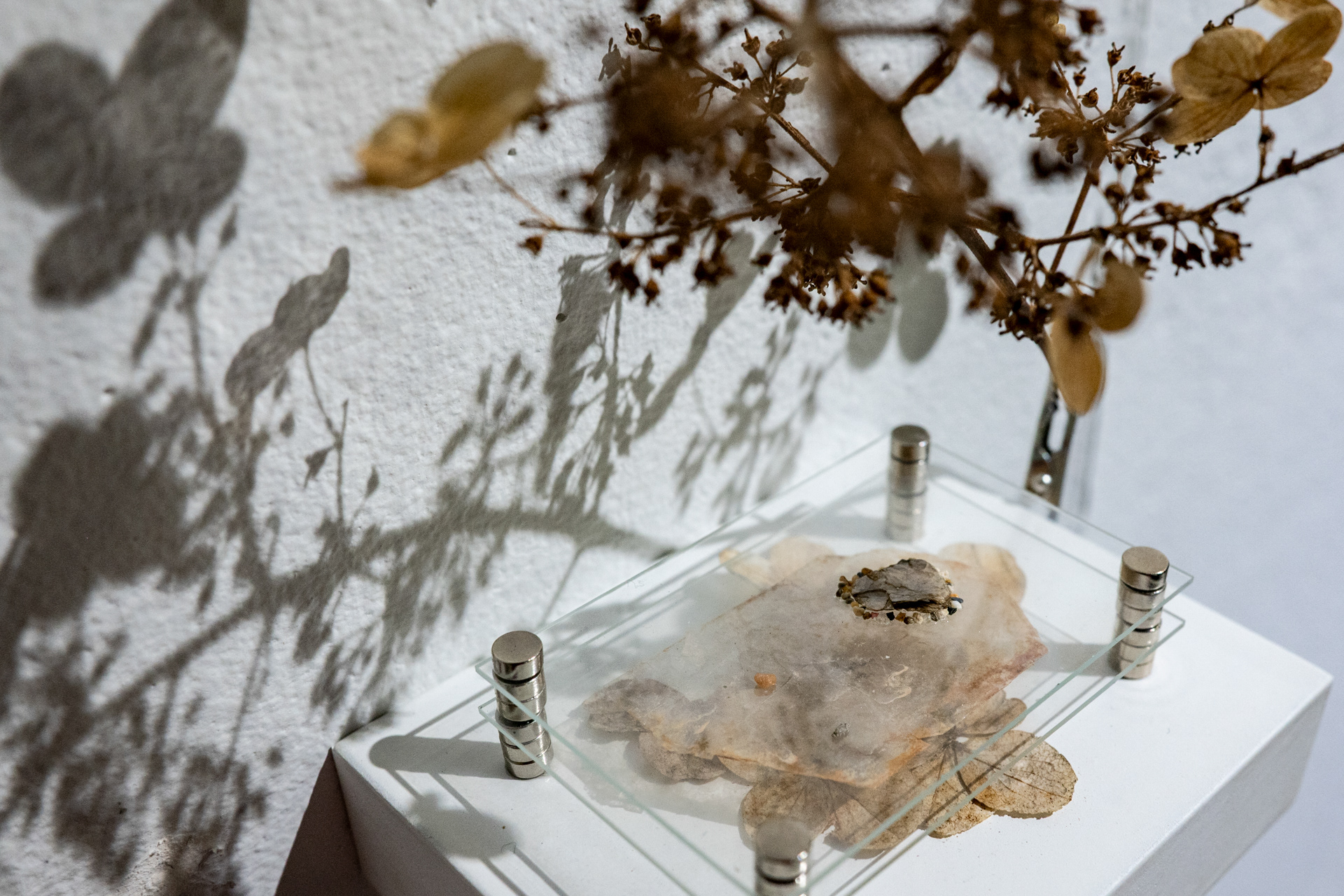 Tiny Worlds (detail)