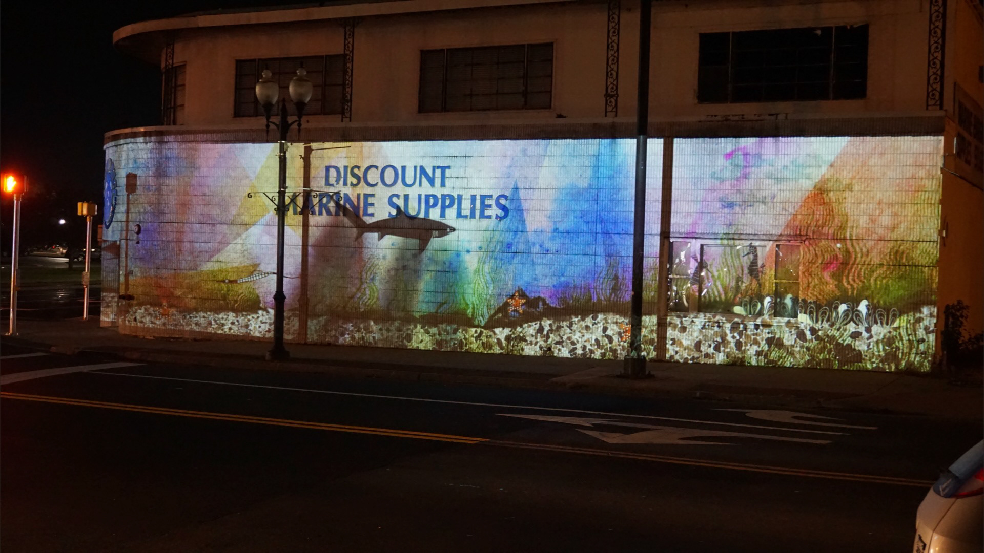 Bay Bingo at  MoCA L.I.ghts