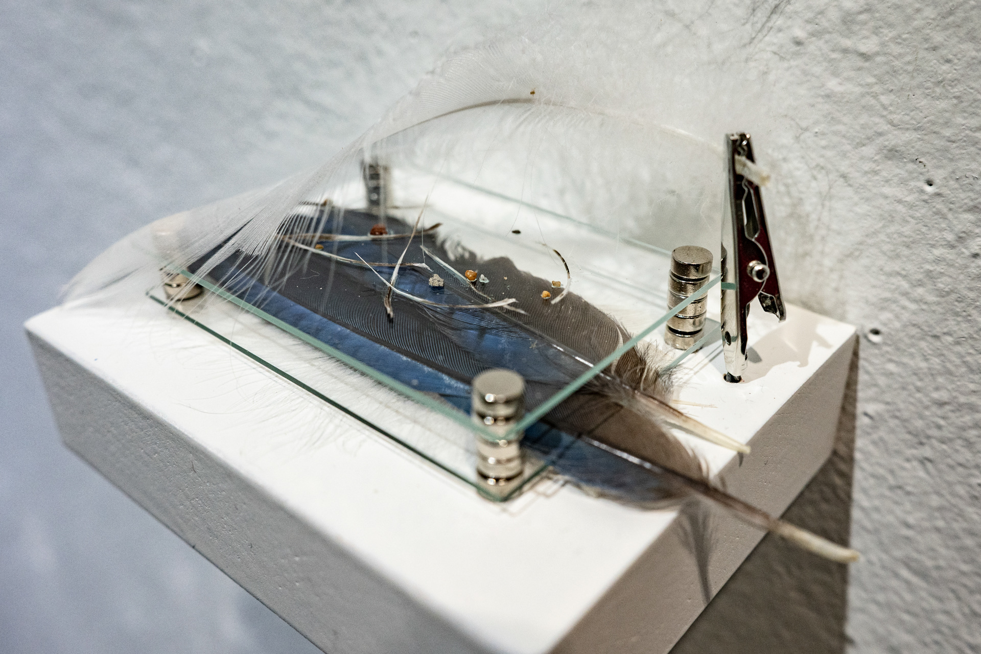 Tiny Worlds (detail)