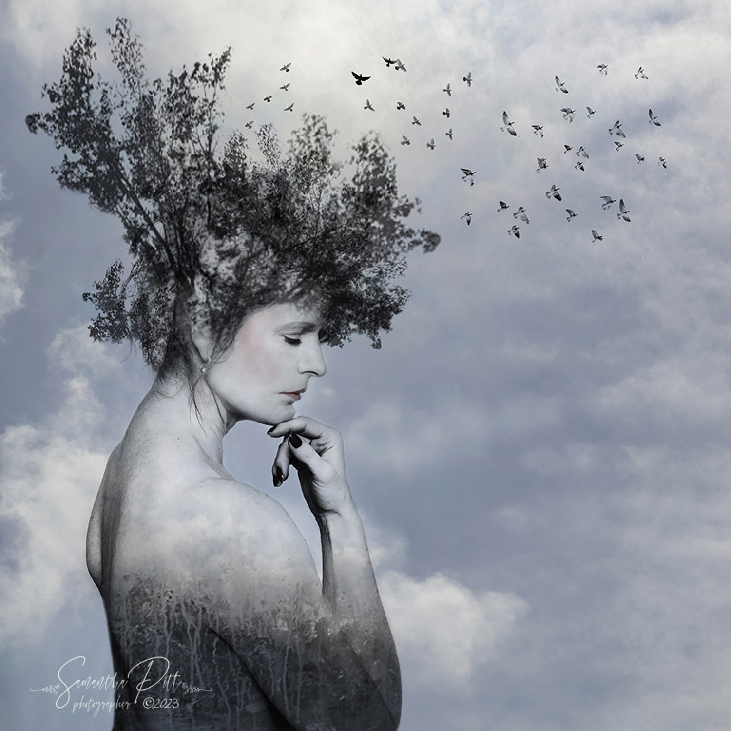 2023 NEATH NATIONAL UK SALON ACCEPTANCE AWARD.