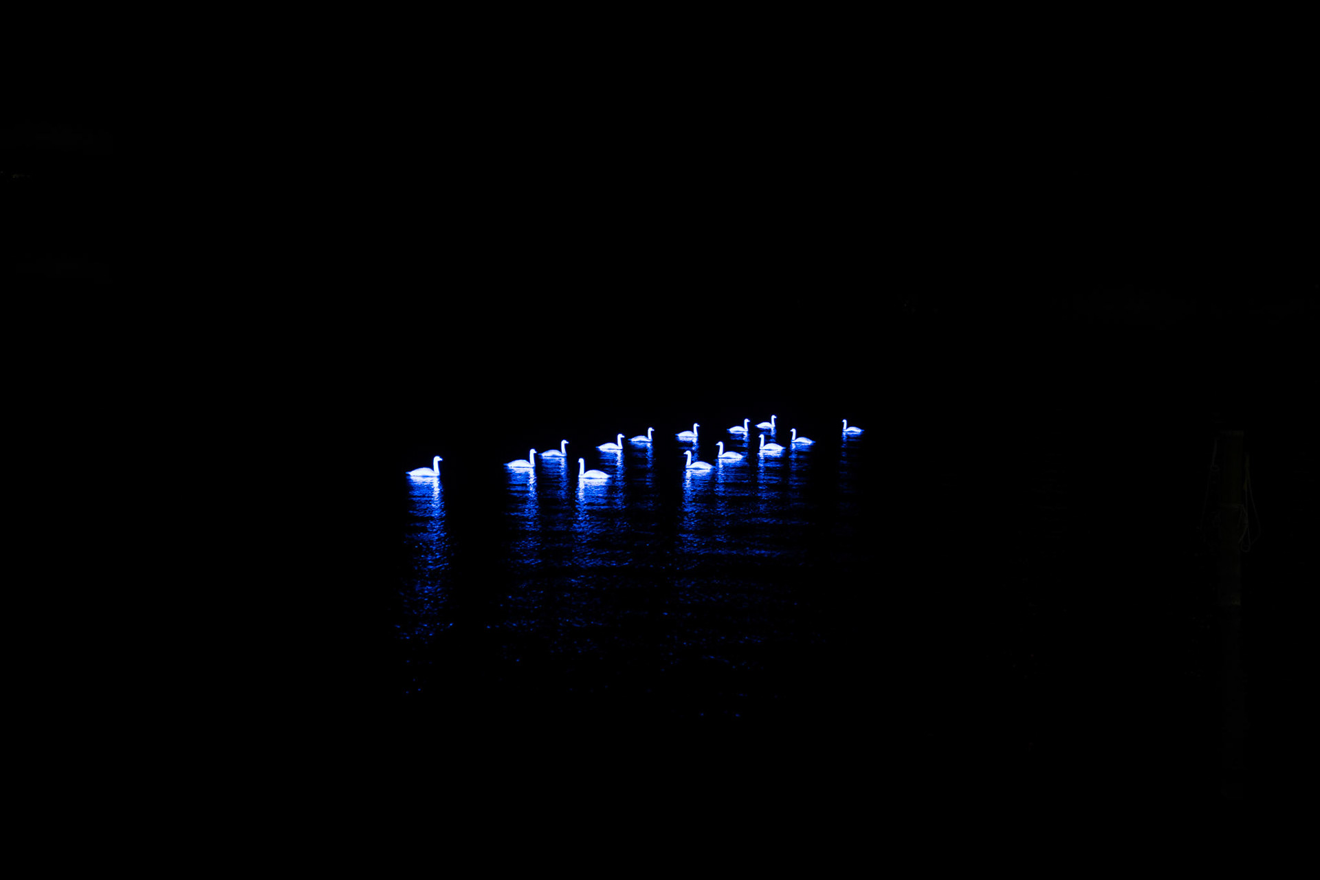Lilu Lichtfestival Luzern