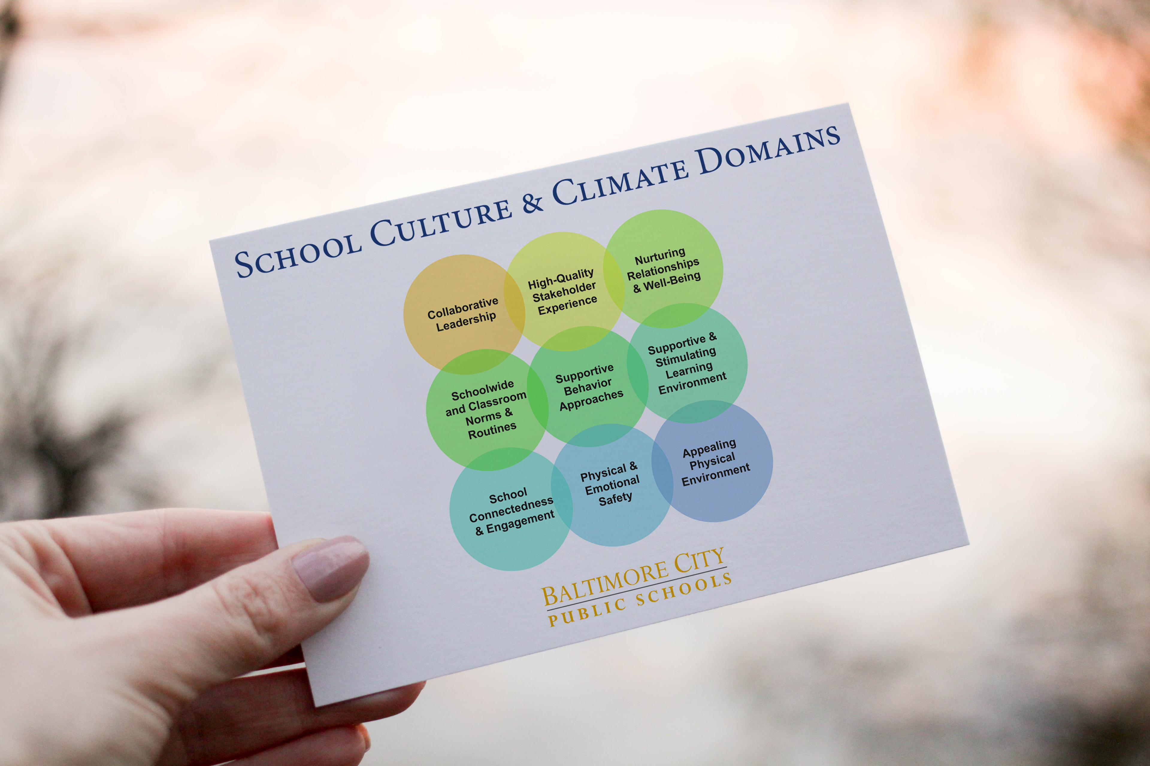 Baltimore City Public Schools School Culture & Climate Domains Postcard