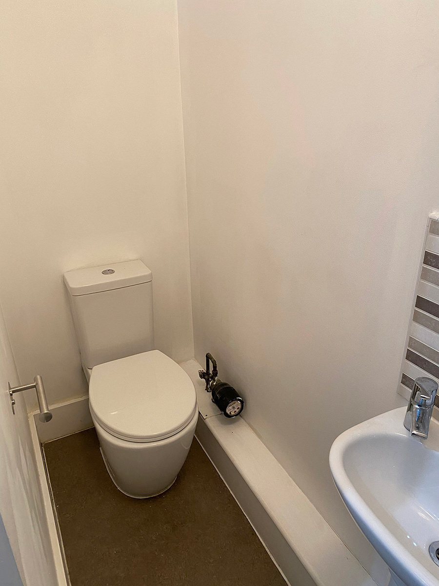 bathroom: toilet