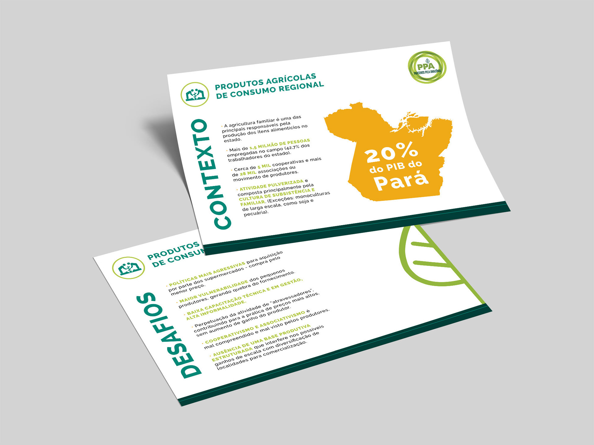 Desenvolvimento de fichas para suporte em apresentação do PPA [freela]