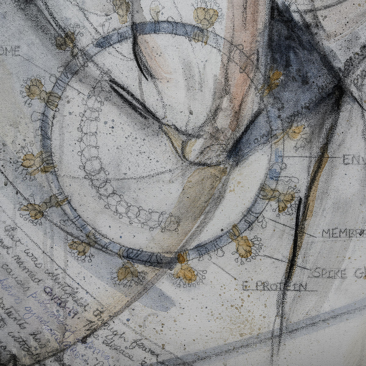 Viral Load, detail V. 8