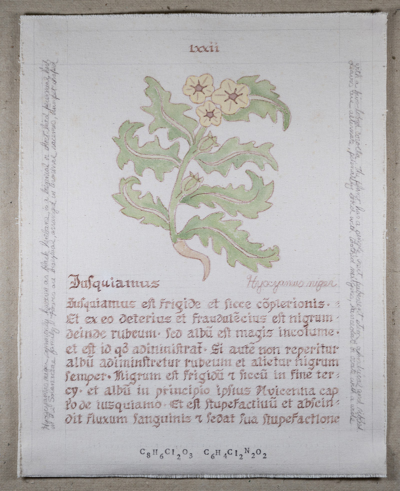 Herbarius: Iusquiamus