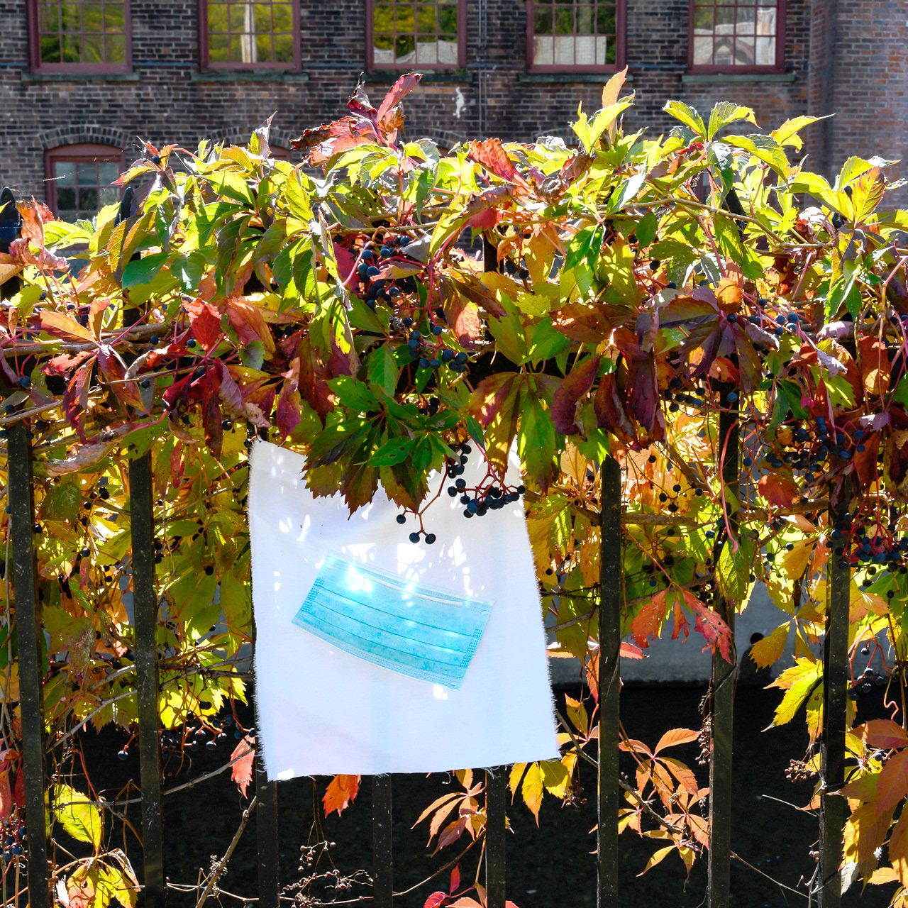 Airborne Transmission, River Street Park Installation, North Adams, MA