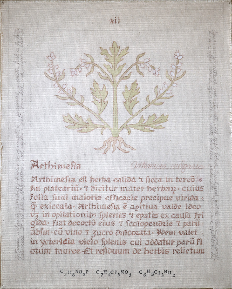 Arthimesia: Artemesia vulgaris