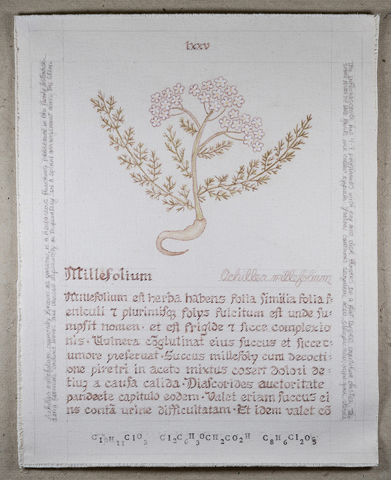 Herbarius: Millifolium