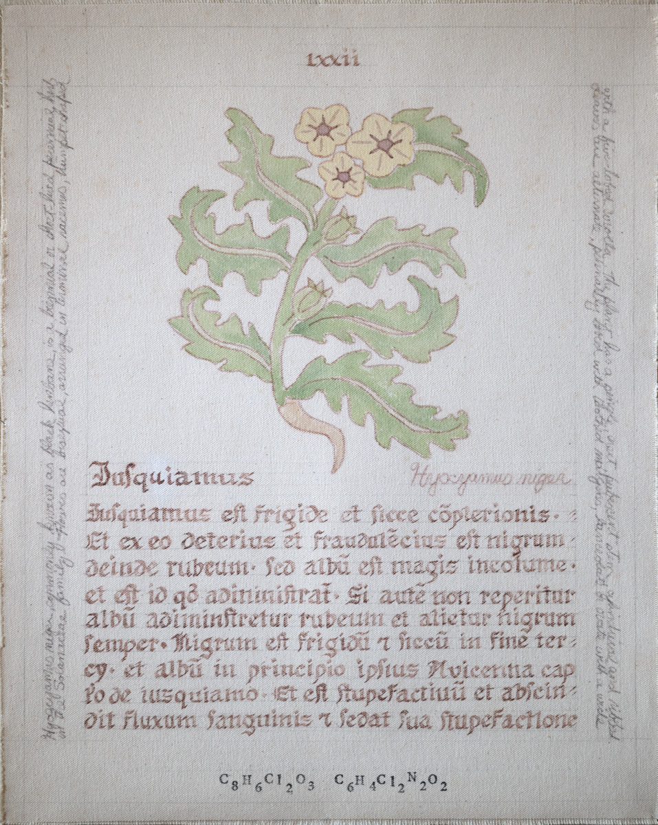 Iusquiamus: Hyocyamus niger
